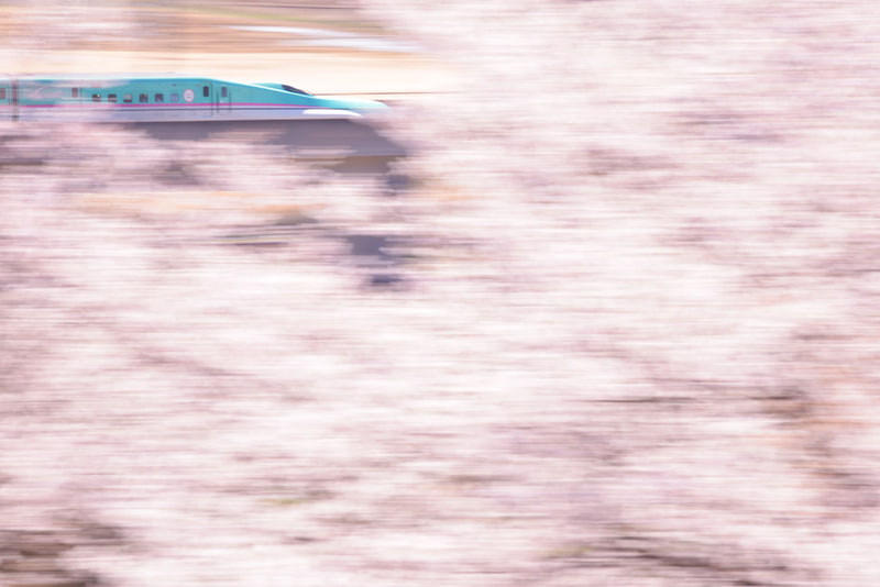 ニコンD600　AF-S NIKKOR 80-400mm f/4.5-5.6G ED VR（400mm）　絞り優先オート（F27、1/20秒）　ISO 200　WB:曇天