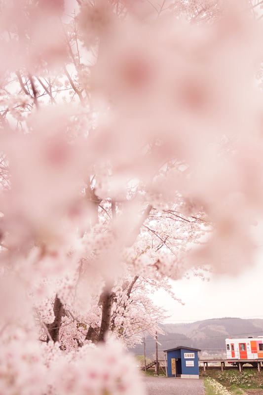 ソニーα77 II　24mm F2 ZA SSM（36mm相当）　絞り優先オート（F2、1/800秒）　ISO 200　WB:日陰