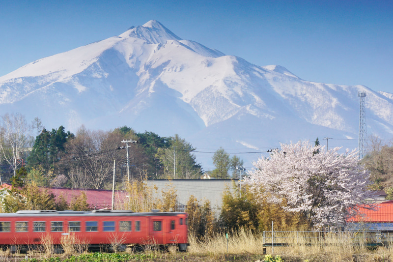 ソニーα77 II　70-200mm F2.8 G（202mm相当）　絞り優先オート（F32、1/25秒）　ISO200　WB:太陽光