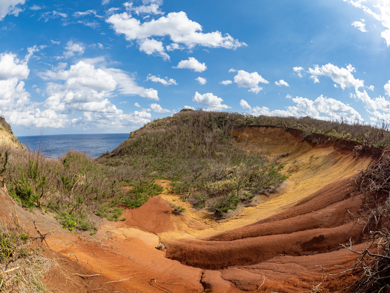 OLYMPUS OM-D E-M5 Mark III / M.ZUIKO DIGITAL ED 8mm F1.8 Fisheye PRO / 8mm / 絞り優先AE（F5.6・1/1600秒・-0.3EV） / ISO 400