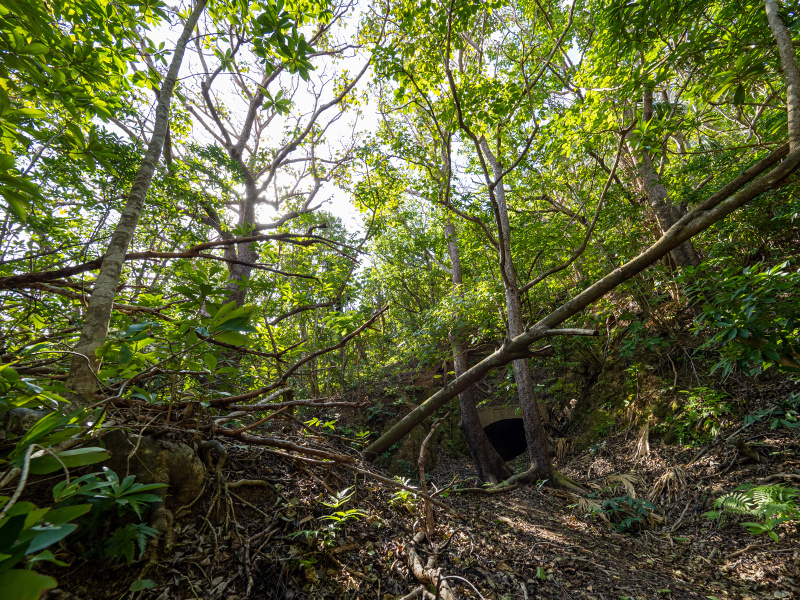 OLYMPUS OM-D E-M5 Mark III / M.ZUIKO DIGITAL ED 7-14mm F2.8 PRO / 7mm / 絞り優先AE（F5.6・1/80秒・+0.3EV） / ISO 200