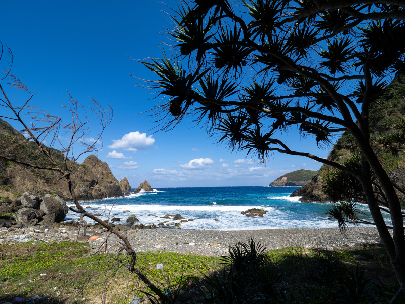OLYMPUS OM-D E-M5 Mark III / M.ZUIKO DIGITAL ED 7-14mm F2.8 PRO / 7mm / 絞り優先AE（F5.6・1/800秒・+0.3EV） / ISO 200