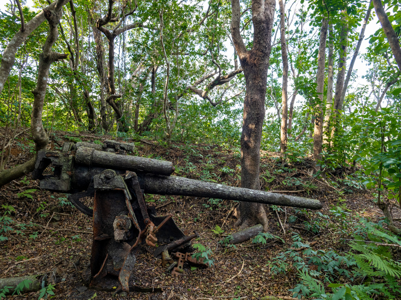 OLYMPUS OM-D E-M5 Mark III / M.ZUIKO DIGITAL ED 7-14mm F2.8 PRO / 10mm / 絞り優先AE（F4・1/50秒） / ISO 200