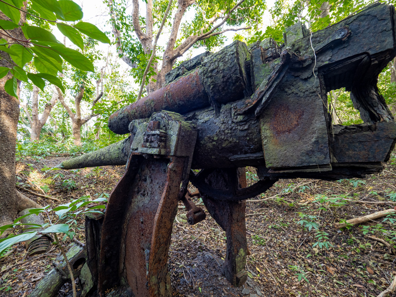 OLYMPUS OM-D E-M5 Mark III / M.ZUIKO DIGITAL ED 7-14mm F2.8 PRO / 7mm / 絞り優先AE（F4・1/20秒・-0.3EV） / ISO 200