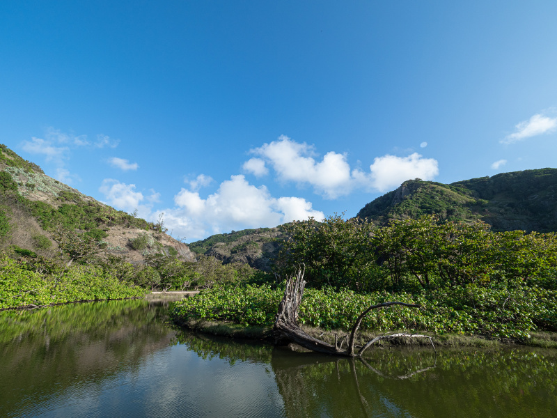 OLYMPUS OM-D E-M1 Mark II / M.ZUIKO DIGITAL ED 7-14mm F2.8 PRO / 7mm / 絞り優先AE（F5.6・1/640秒） / ISO 200