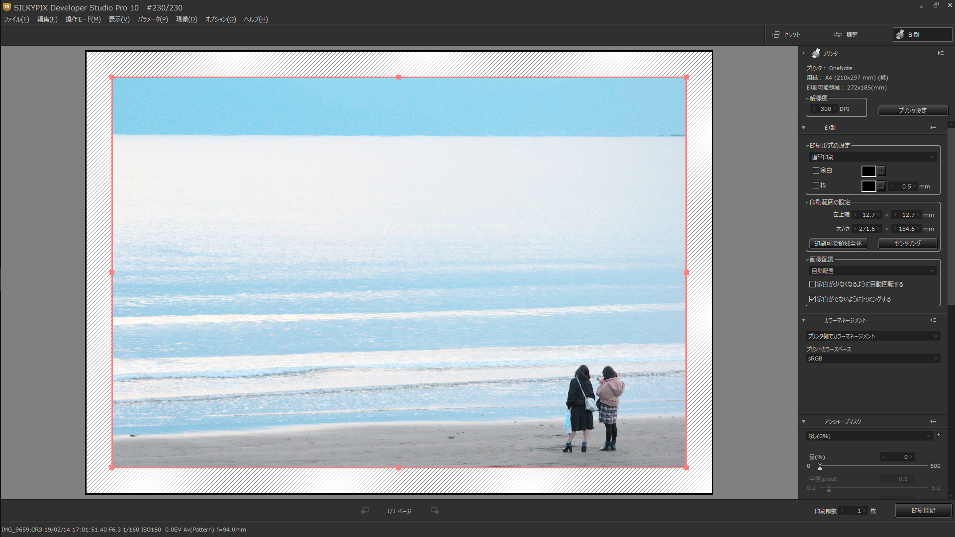 「印刷」セクションは、別ウィンドウで表示されていた従来バージョンと異なり、メイン画面全体で表示されるタイプに変更。「カラーマネージメント」などの処理が一画面内で行なえるなど、操作性が向上している。