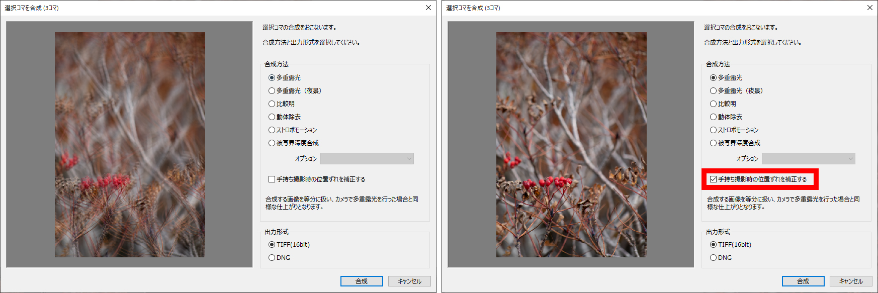 焦点距離300mmを手持ちで３枚撮影して合成。構図がずれているため、そのまま合成するとブレたような仕上がりになる（左）が、「手持ち撮影時の位置ずれを補正する」をチェックすることでピッタリと重ねてくれる（右）。