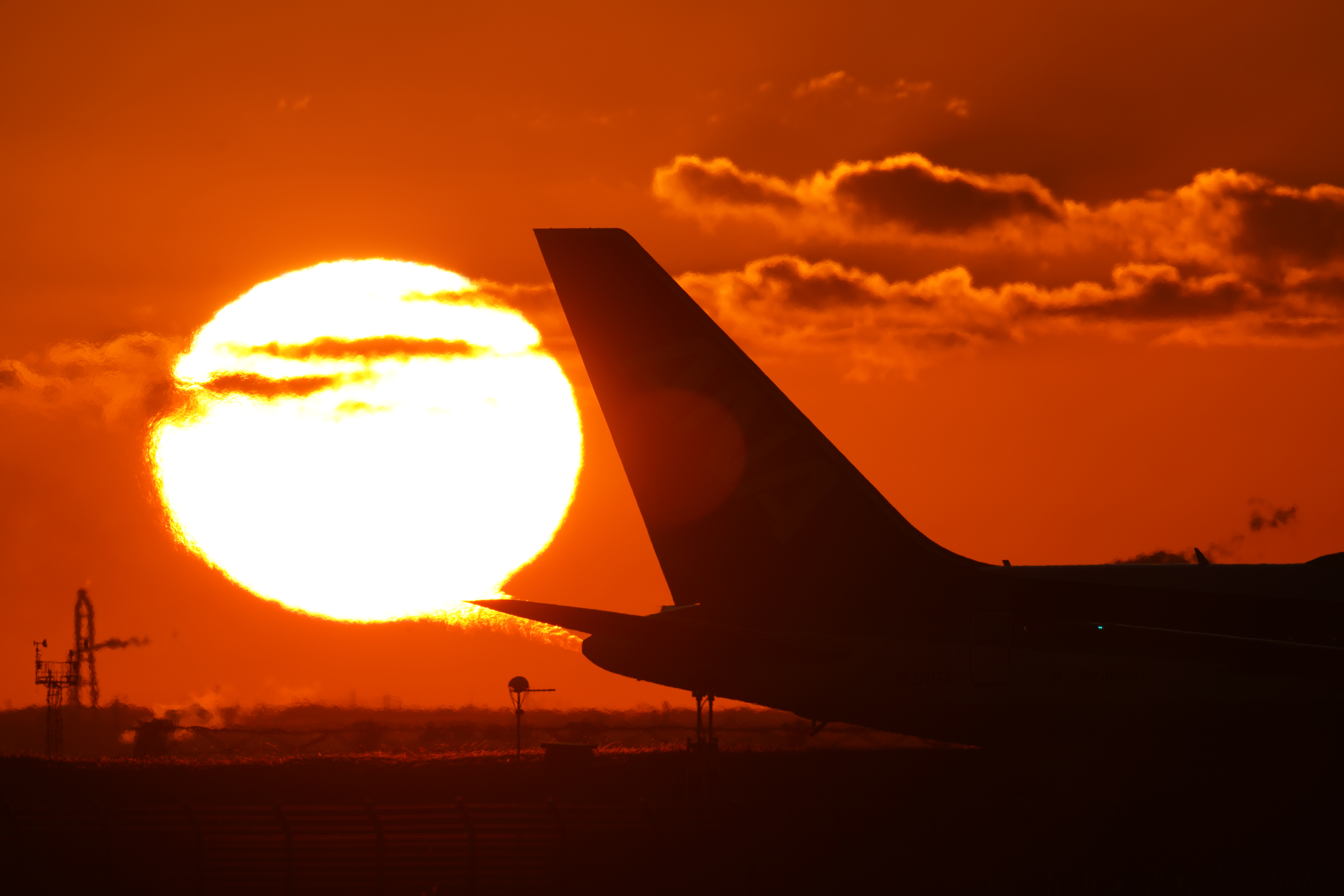 α7R IV / FE 600mm F4 GM OSS＋SEL20TC（1200mm） / マニュアル露出（1/1,250秒・F8・±0EV） / ISO 100