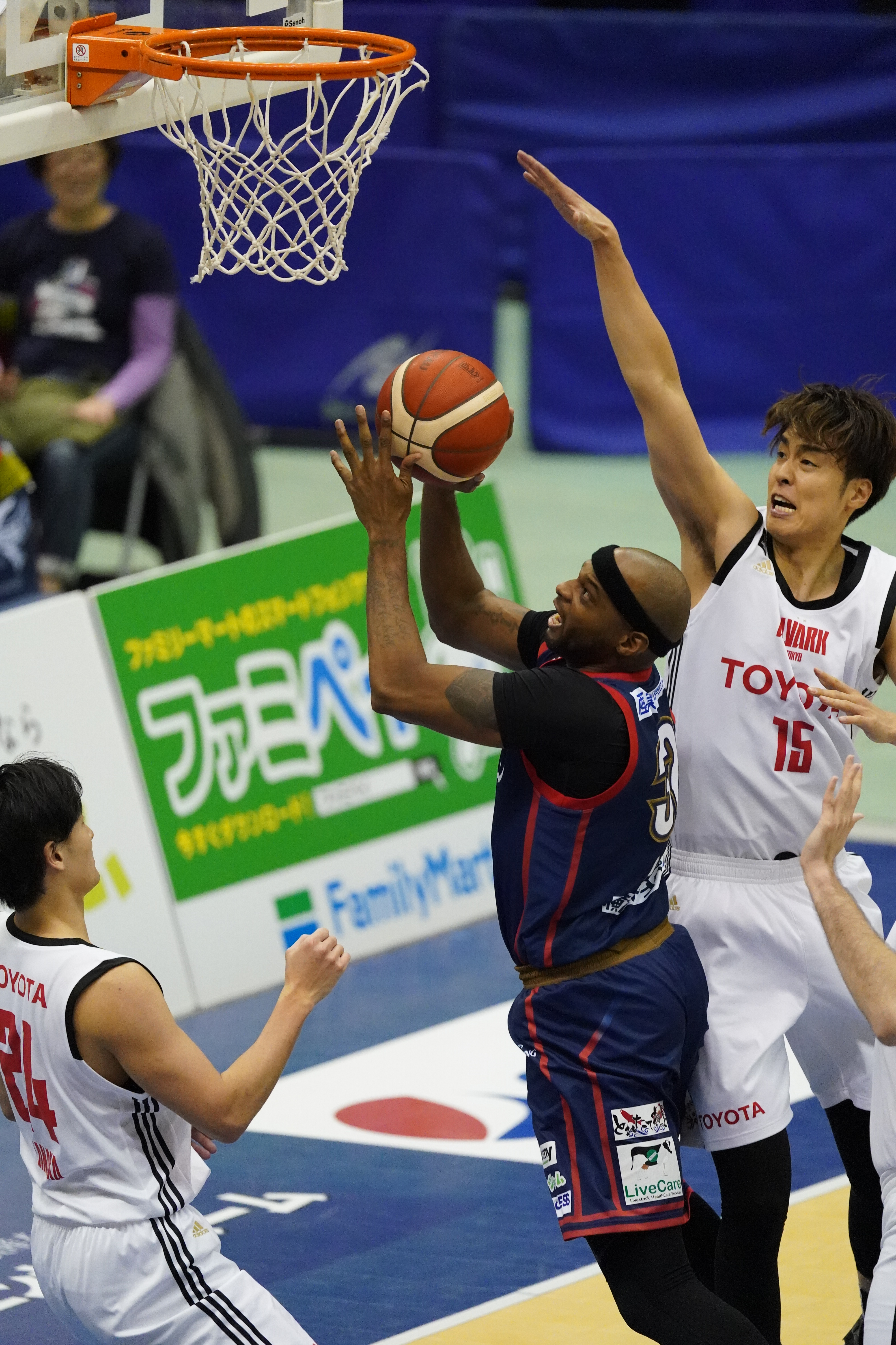 α9 II / FE 600mm F4 GM OSS / マニュアル露出（1/1,600秒・F4・±0EV） / ISO 12800