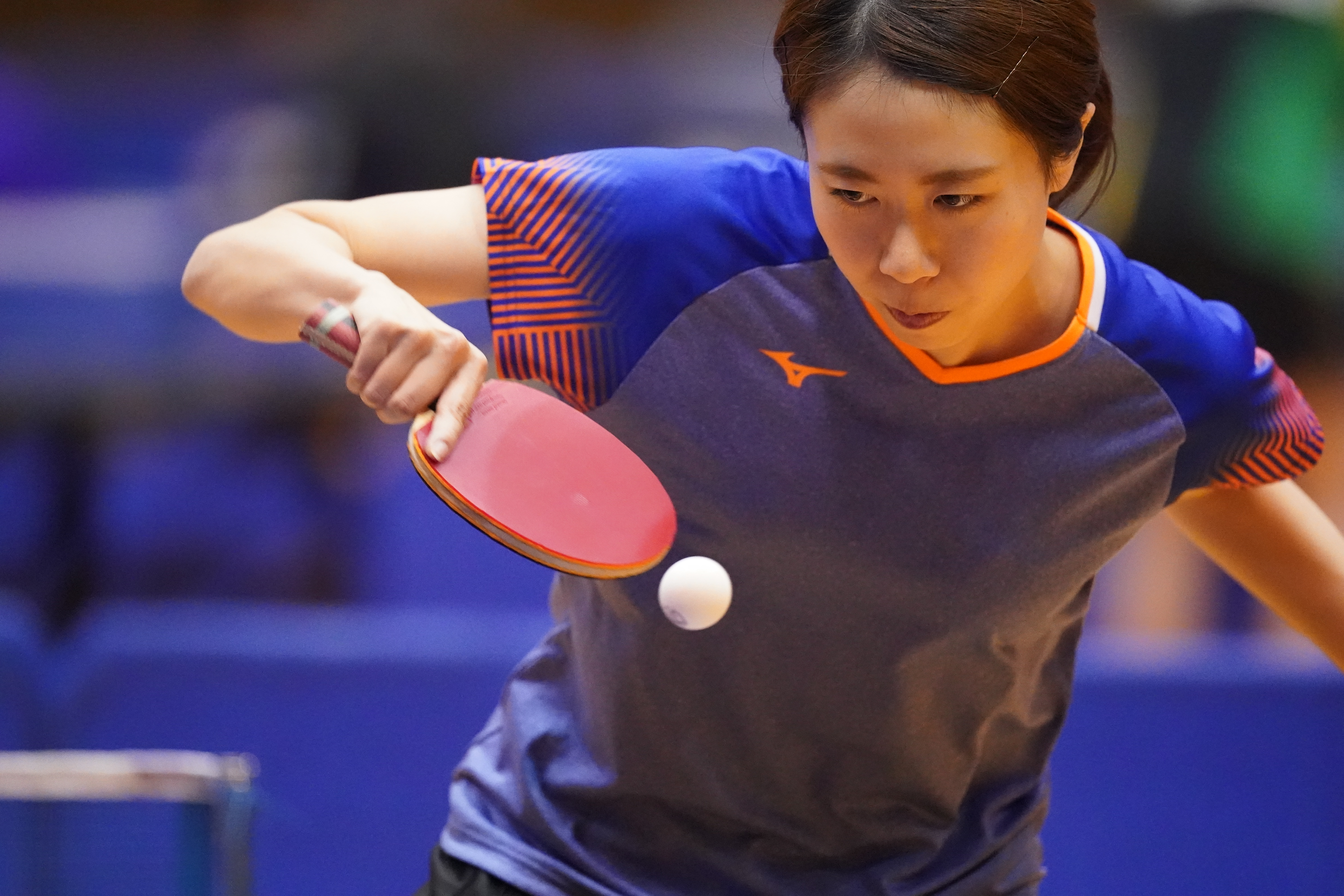 α9 II / FE 600mm F4 GM OSS / マニュアル露出（1/1,250秒・F4・±0EV） / ISO 20000