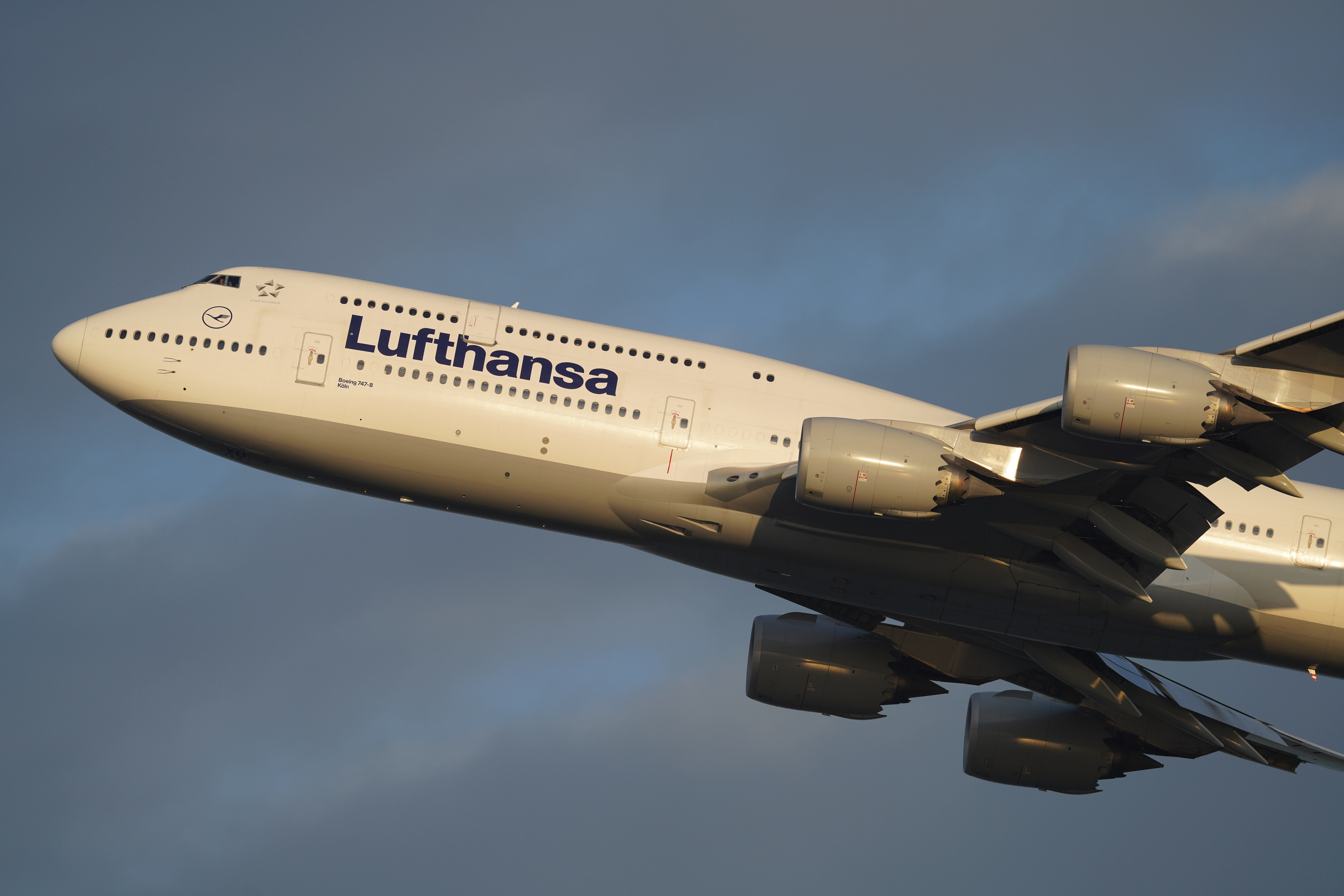 α7R IV / FE 600mm F4 GM OSS / シャッター優先AE（1/1,000秒・F4・-0.3EV） / ISO 100