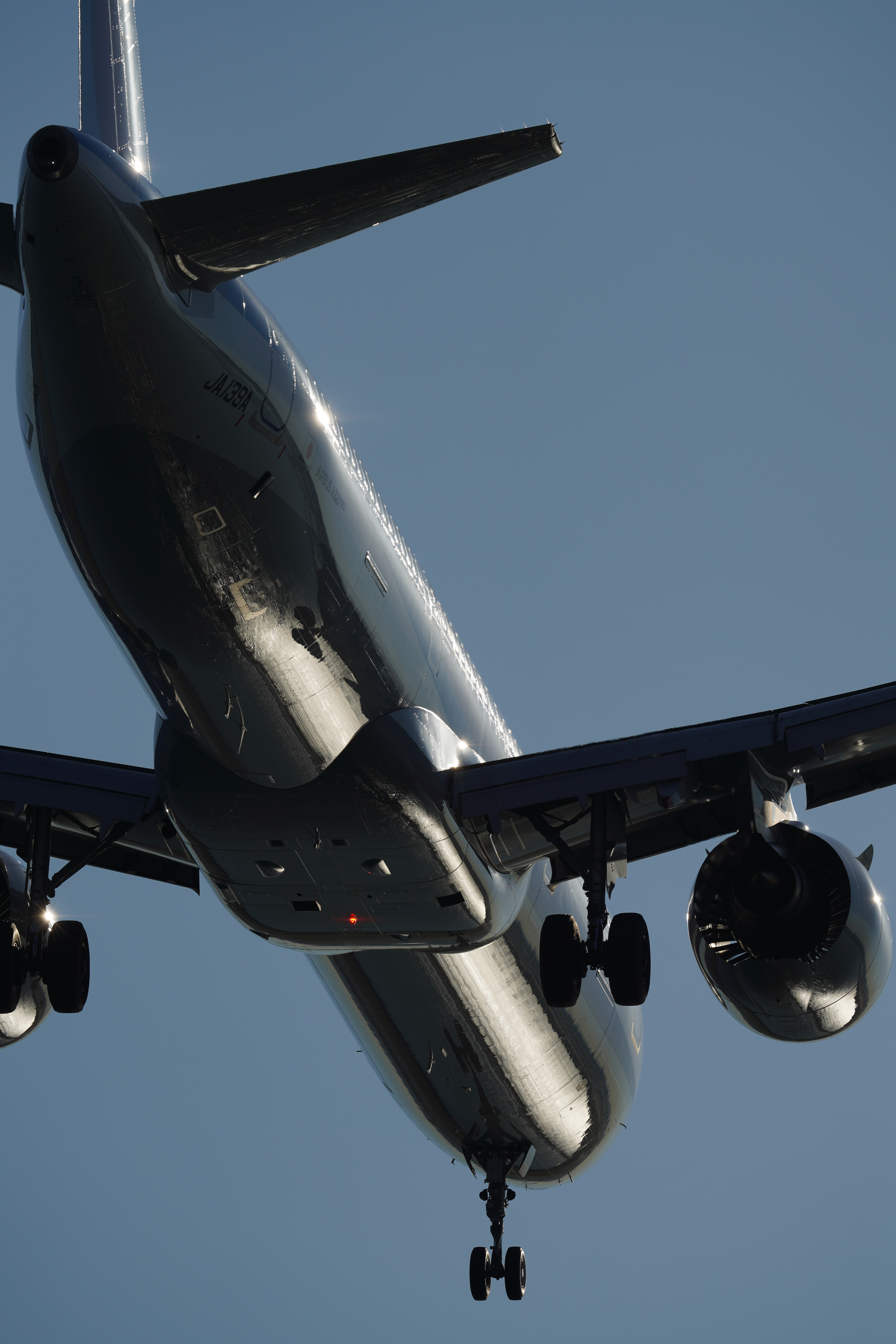 α7R IV / FE 600mm F4 GM OSS / シャッター優先AE（1/2,000秒・F7.1・-1.3EV） / ISO 100