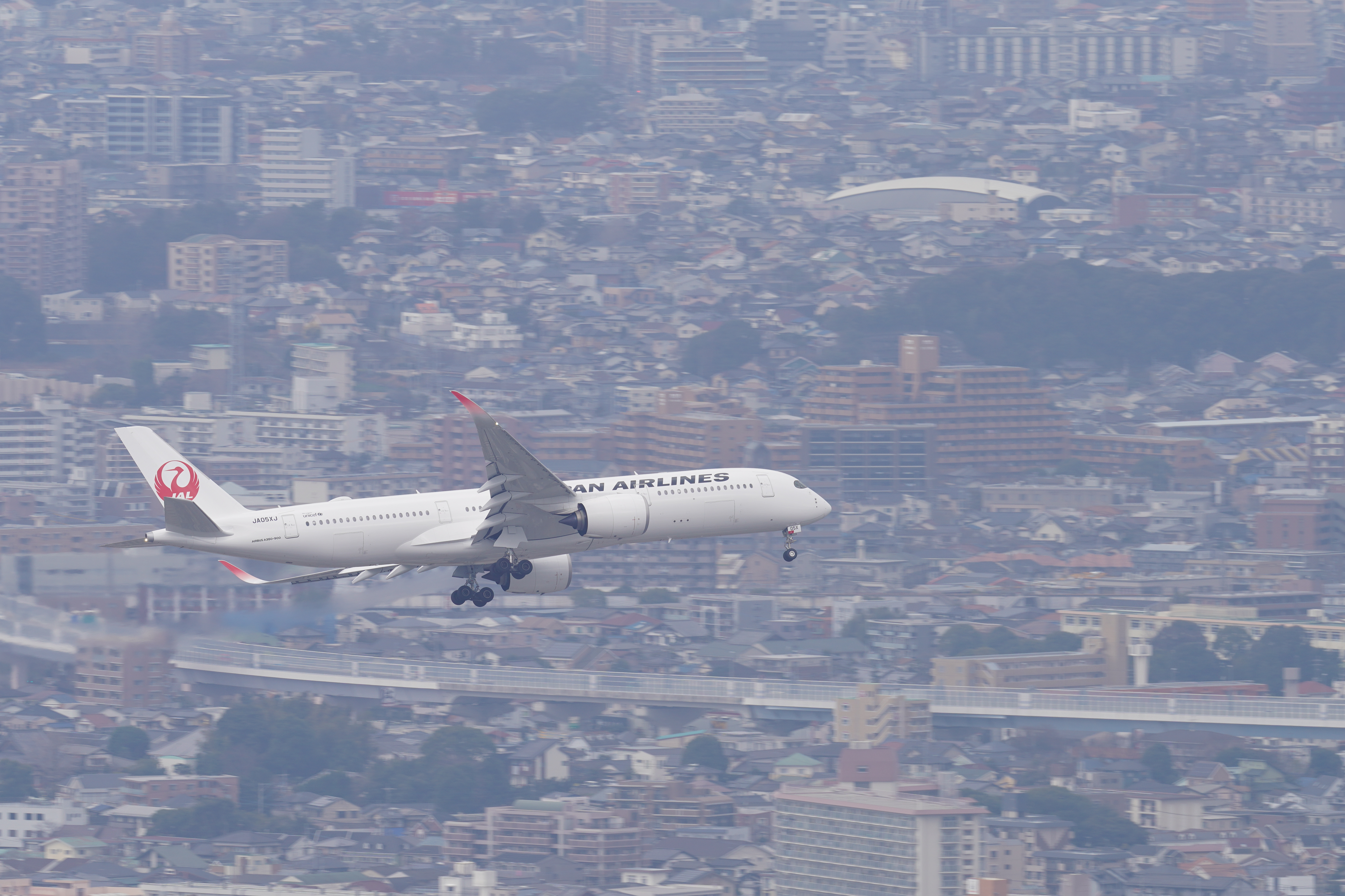 α7R IV / FE 600mm F4 GM OSS（APS-Cクロップモード：900mm相当） / シャッター優先AE（1/125秒・F7.1・-1.3EV） / ISO 100