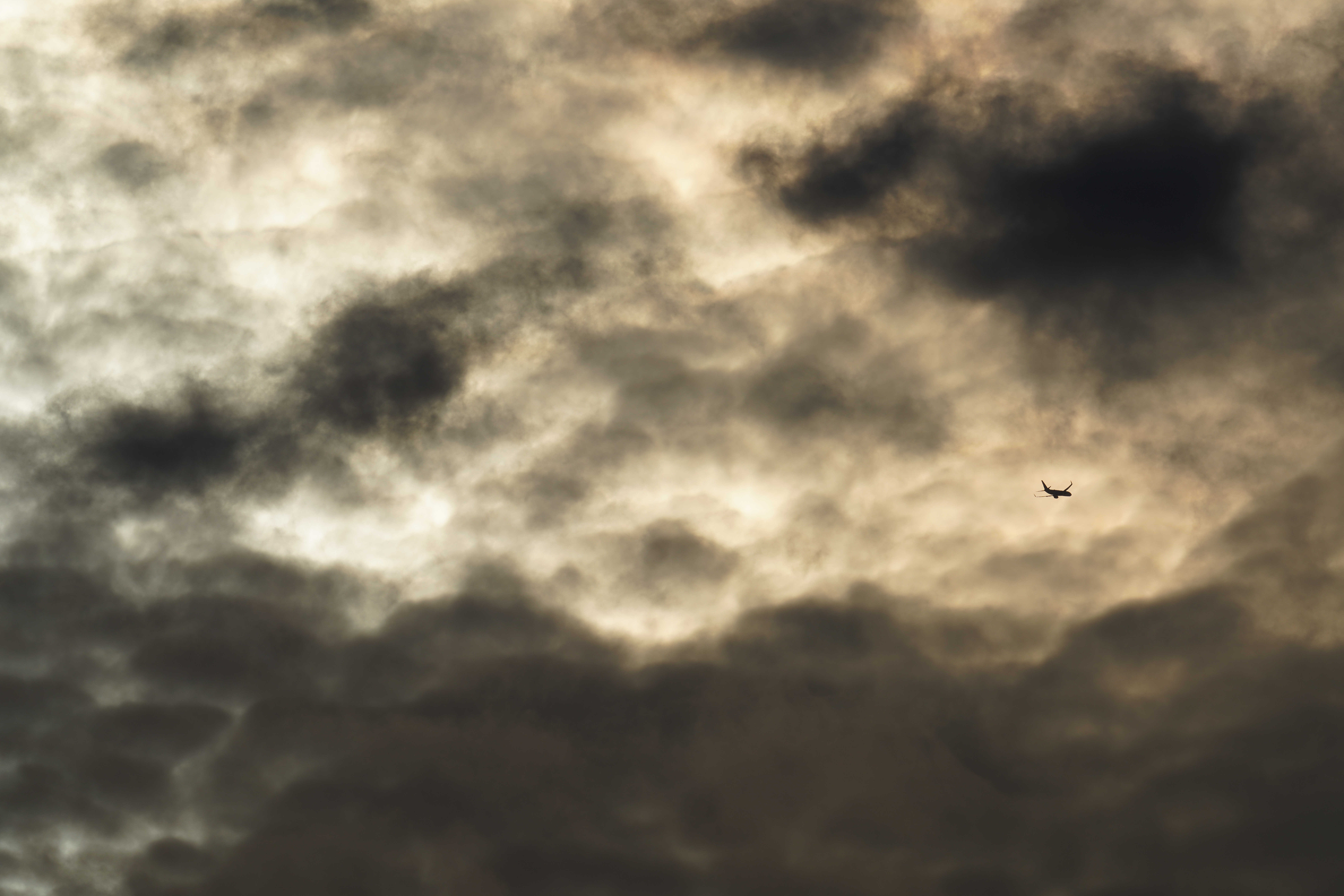 α7R IV / FE 600mm F4 GM OSS / シャッター速度優先AE（1/1,000秒・F14・-0.3EV） / ISO 100