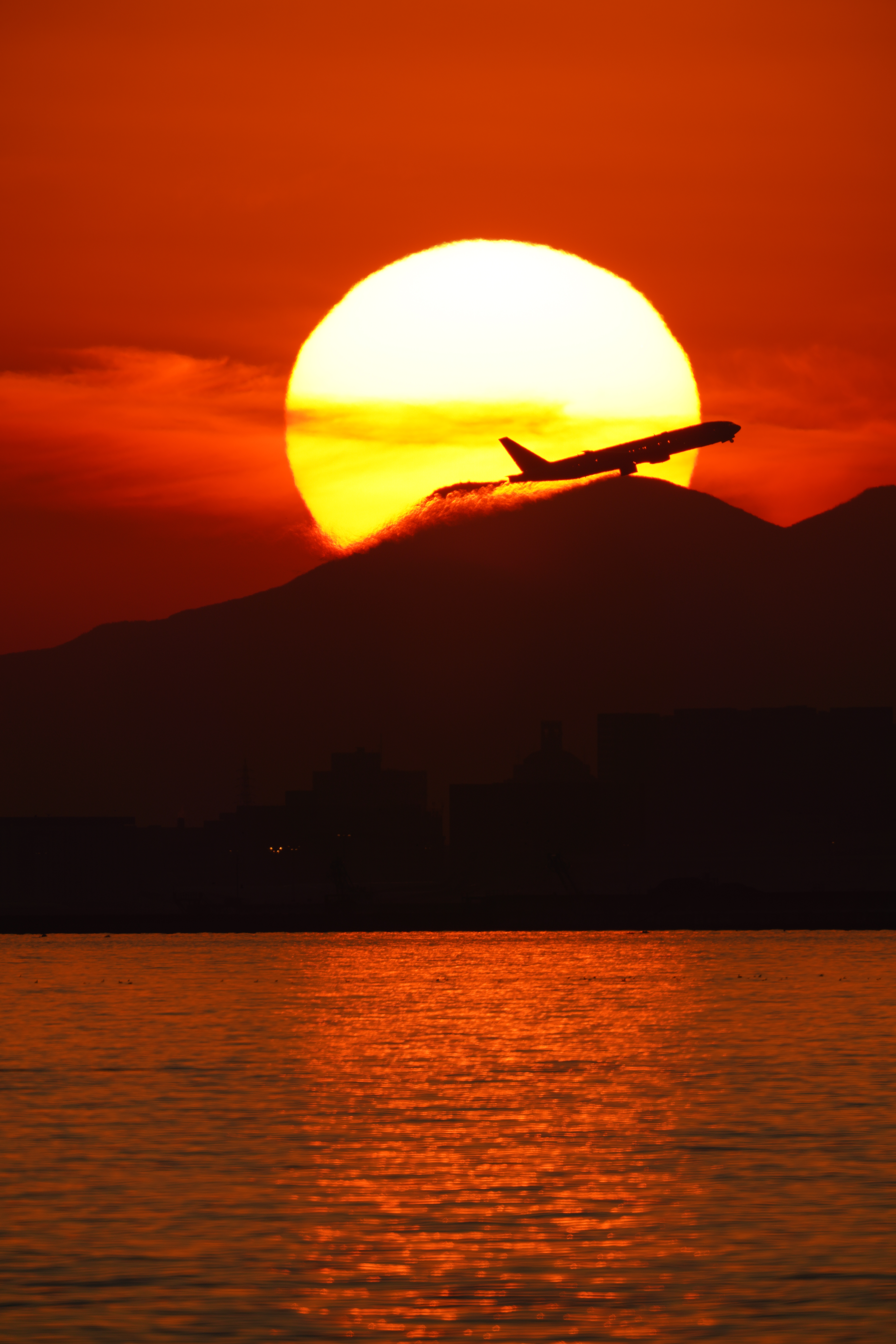 α7R IV / FE 600mm F4 GM OSS＋SEL20TC（1200mm） / マニュアル露出（1/1,000秒・F9・±0EV） / ISO 100