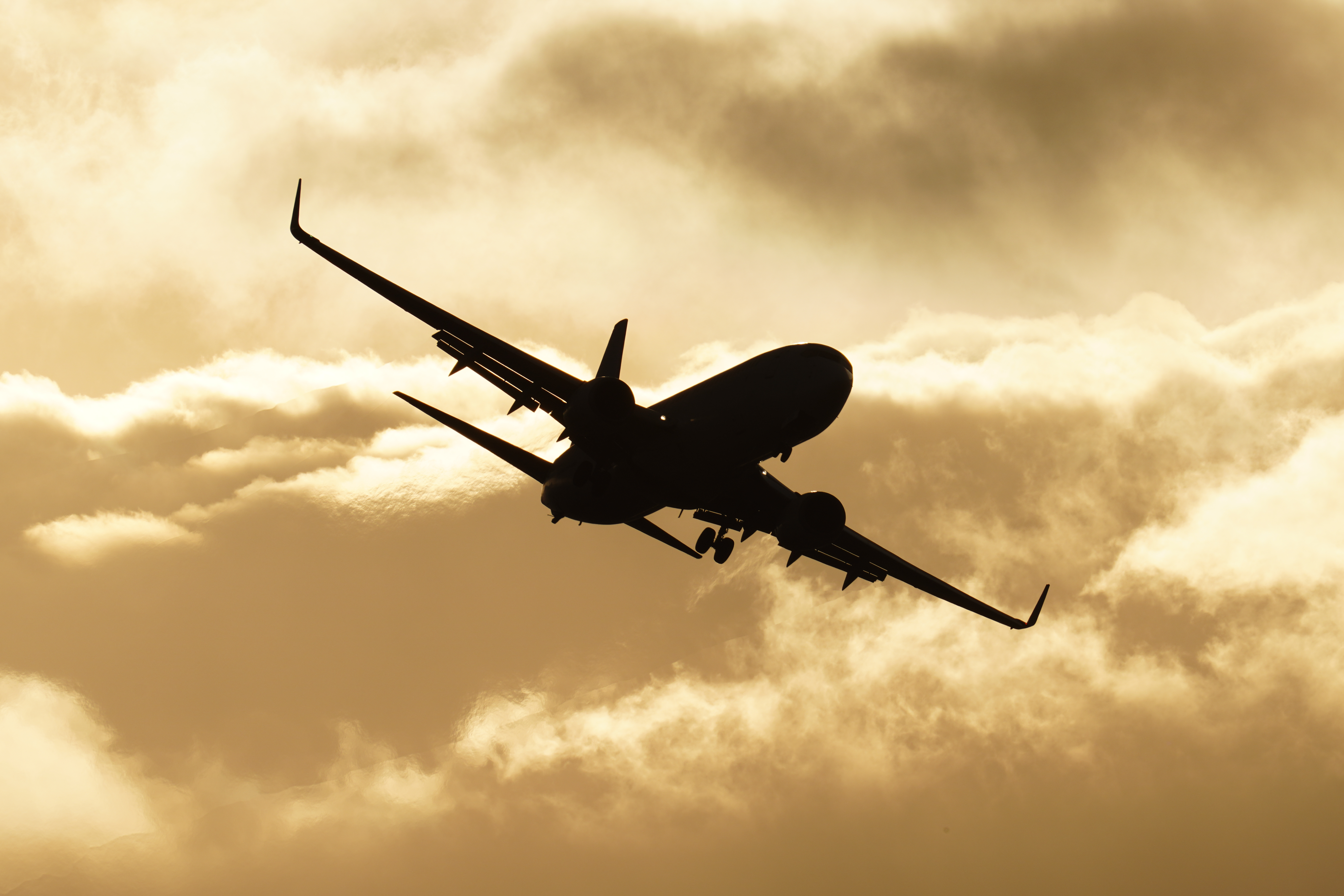 α7R IV / FE 600mm F4 GM OSS＋SEL20TC（APS-Cクロップモード：1800mm相当） / シャッター優先AE（1/640秒・F13・+0.3EV） / ISO 100