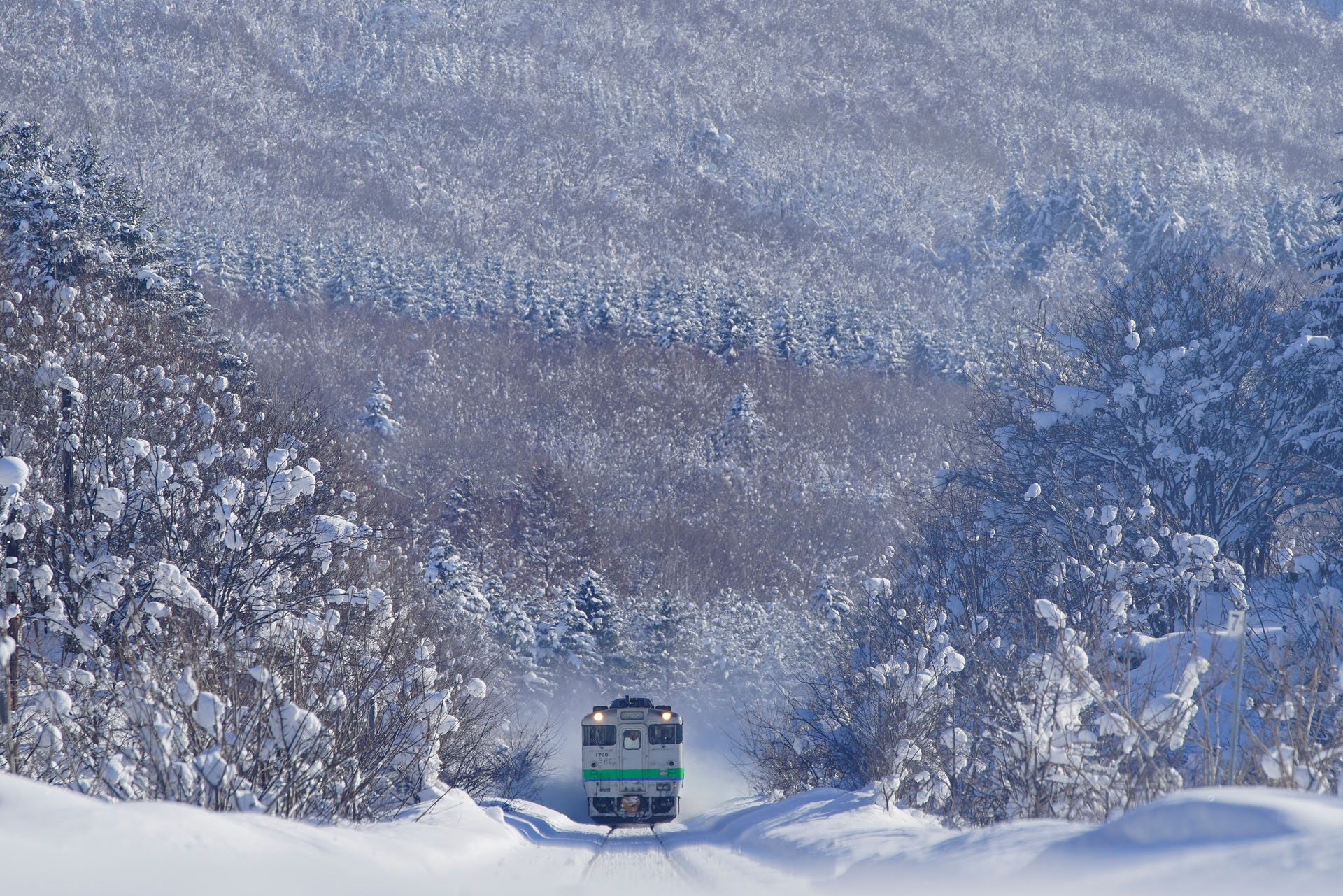 2014年1月16日　ソニーα7　500mm F4 G SSM（500mm）　プログラムオート（F11、1/400秒）　ISO 200　 WB：マニュアルホワイトバランス