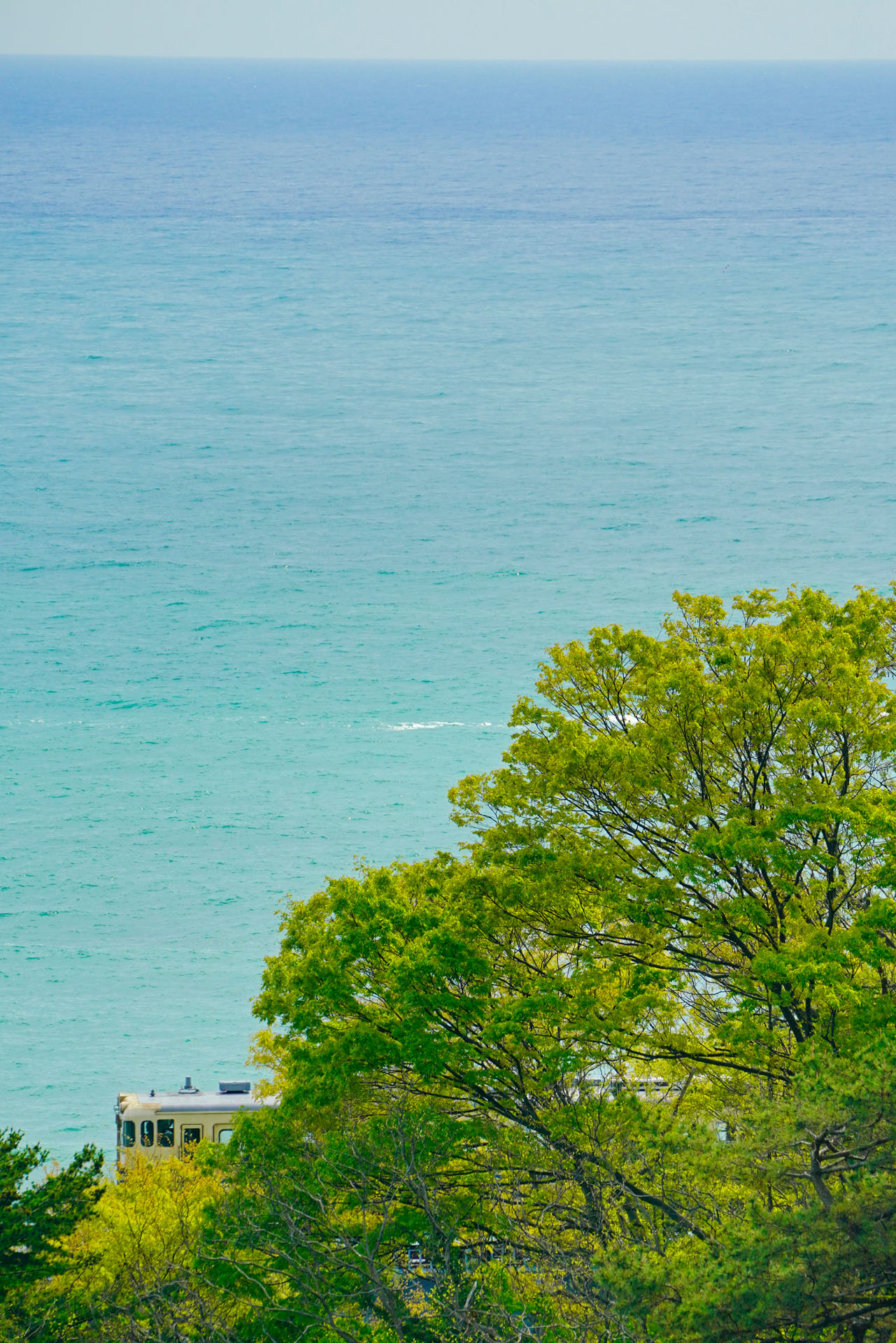 2018年5月12日　ソニーα7R III　FE 100-400mm F4.5-5.6 GM OSS（265mm）　プログラムオート（F8、1/500秒）　ISO 400　WB：マニュアル