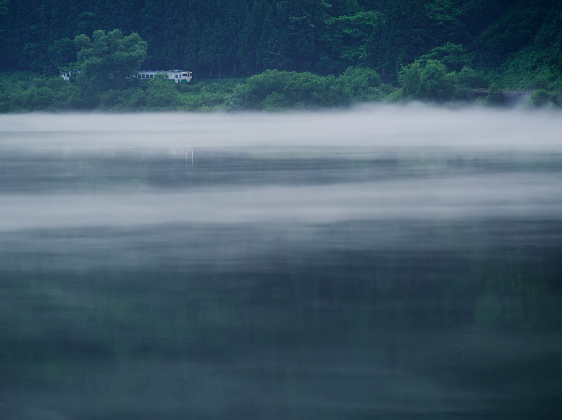 2010年7月10日　PENTAX 645D　smc PENTAX-DA* 300mm F4 ED [IF] SDM（188mm相当）　マニュアル露出（F5.6、1/400秒）　ISO 400　WB：マニュアル