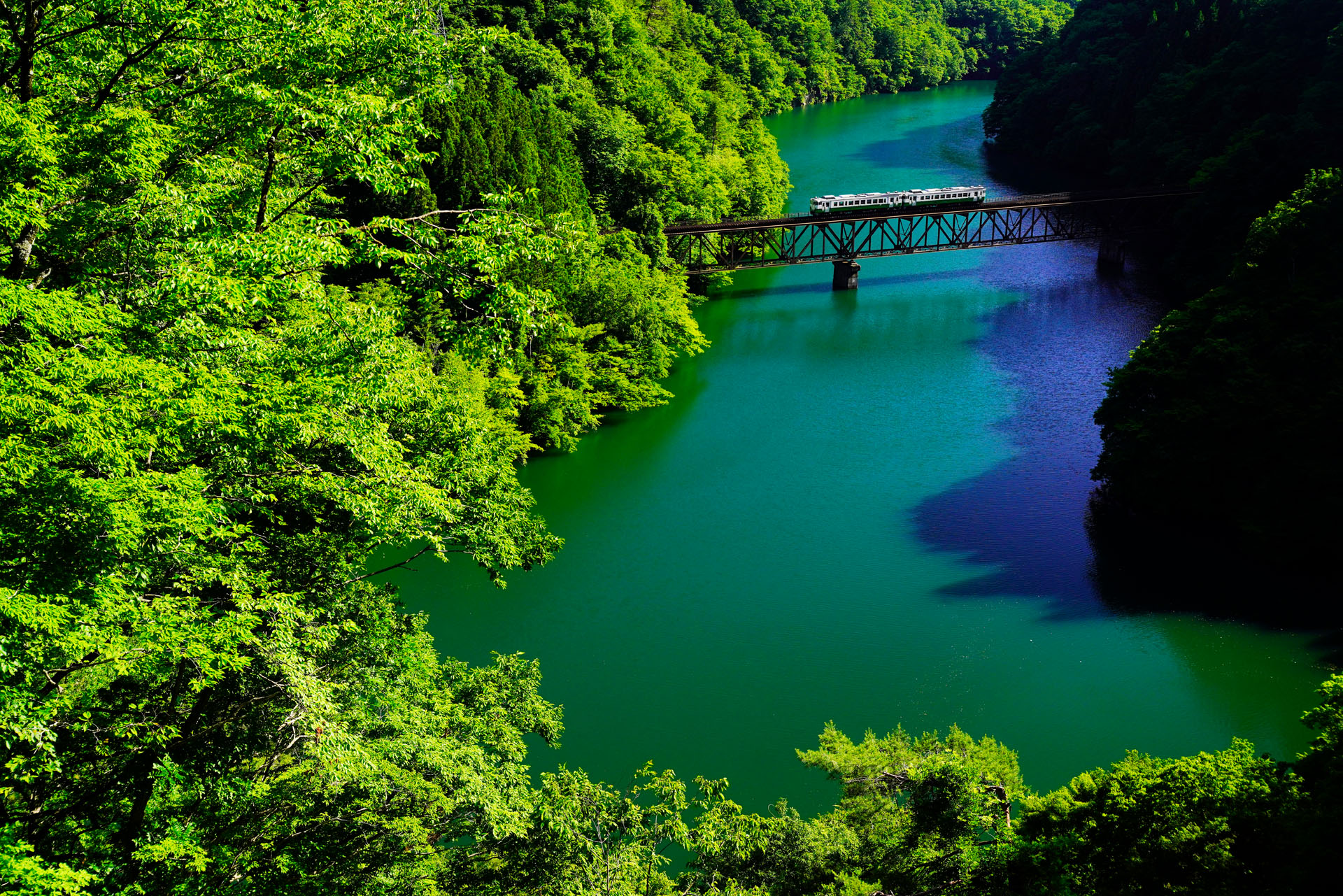 2018年6月22日　ソニーα7R III　FE 24-70mm F2.8 GM（41mm）　プログラムオート（F5.6、1/640秒）　ISO 400　WB：マニュアルホワイトバランス