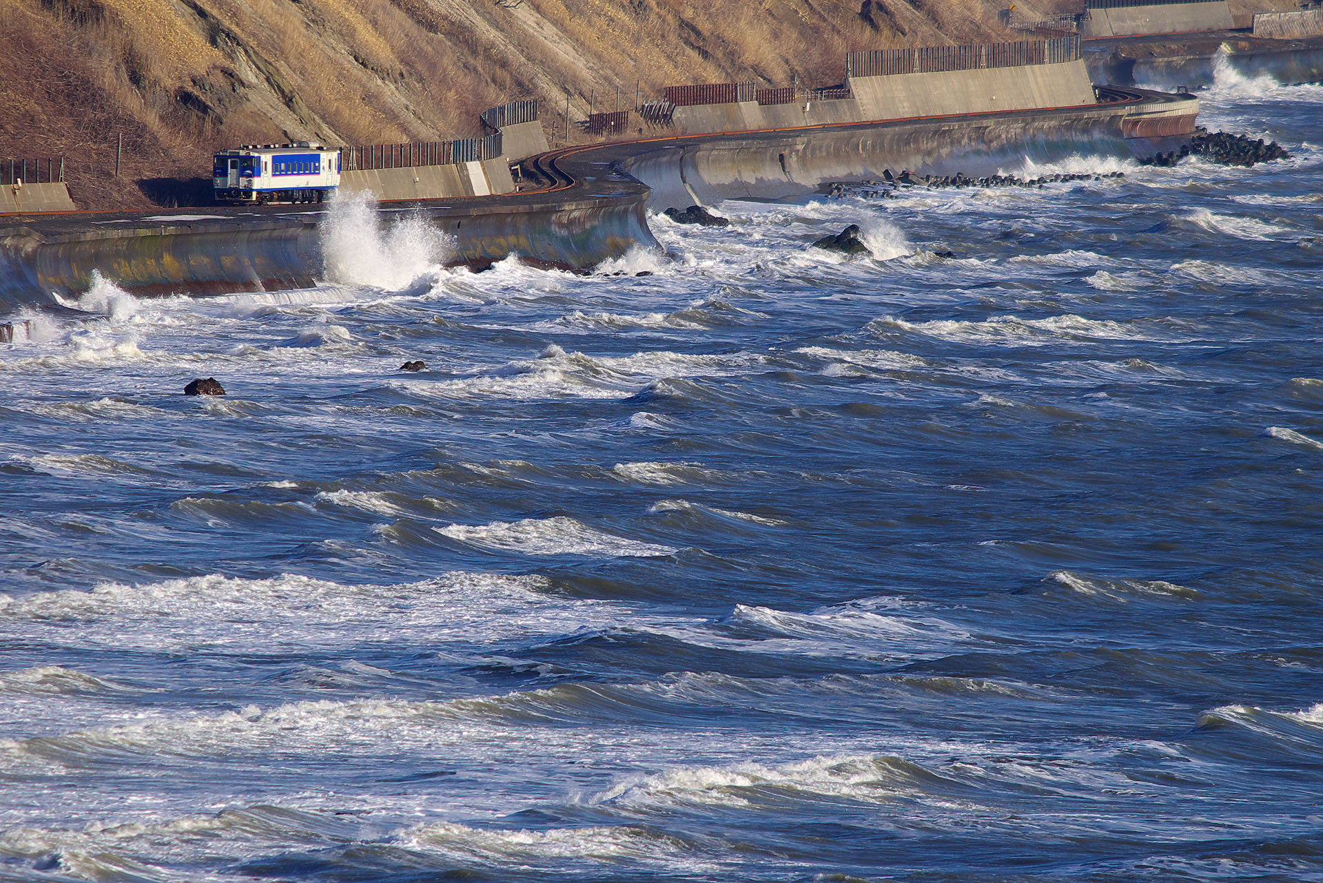 2005年3月8日　PENTAX *ist Ds　smc PENTAX-FA* 600mm F4 ED[IF]（900mm相当）　マニュアル露出（F8、1/1,500秒）　ISO 200　WB：マニュアルホワイトバランス