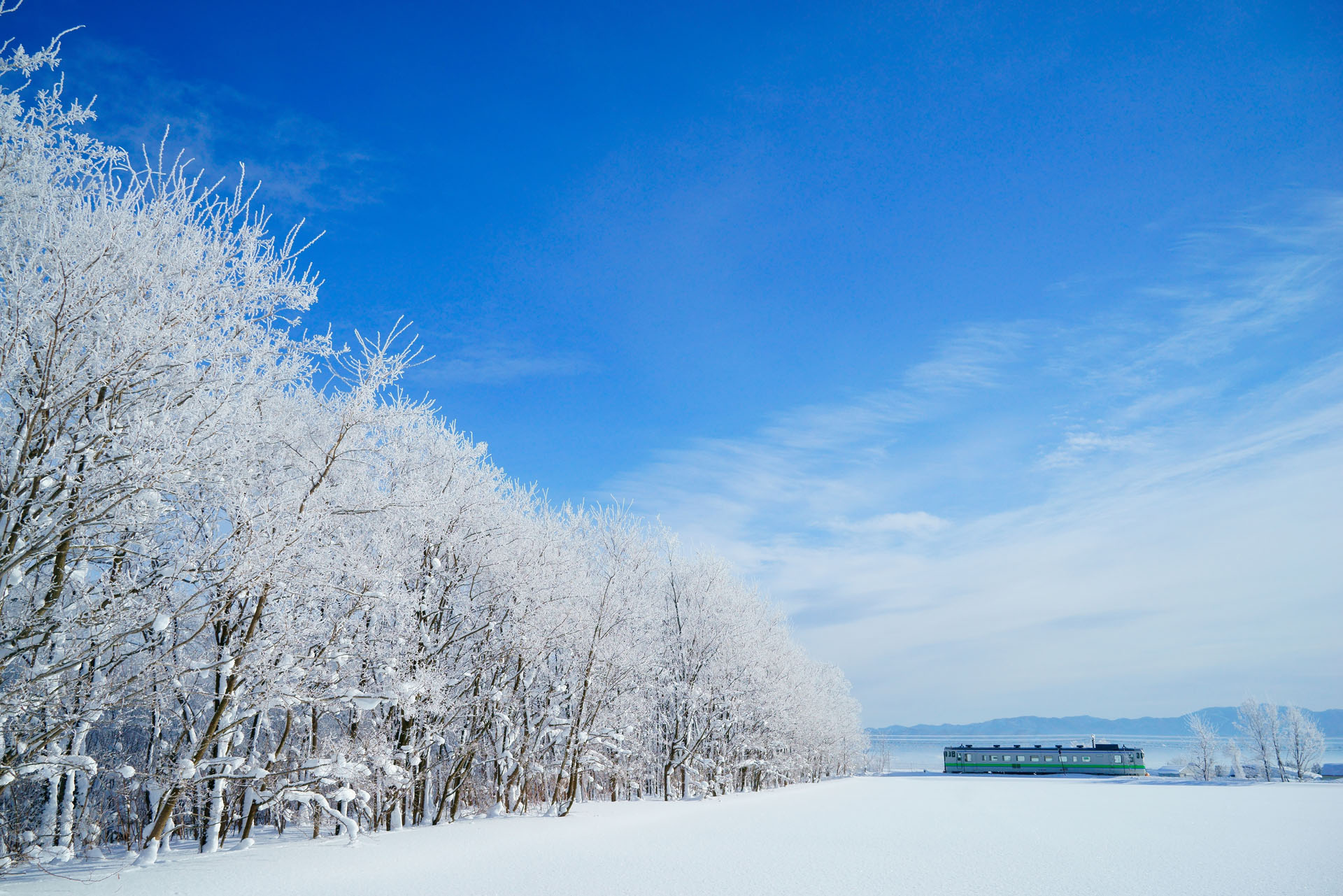 2013年4月3日　ソニーα7R　FE 24-70mm F4 ZA OSS（28mm）　絞り優先オート（F8、1/2,000秒）　ISO 400　WB：太陽光