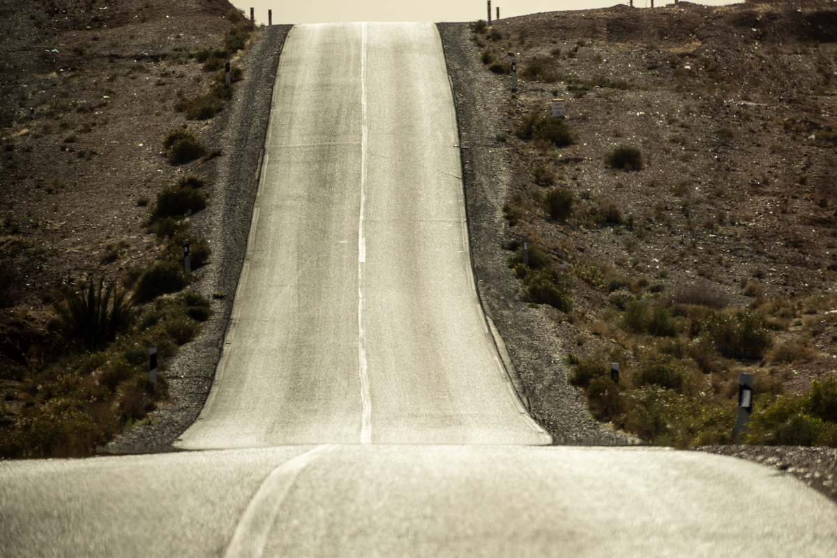 α7R IV / E 70-350mm F4.5-6.3 G OSS（350mm［525mm］）/ マニュアル露出（F8・1/2,000秒）/ ISO 320