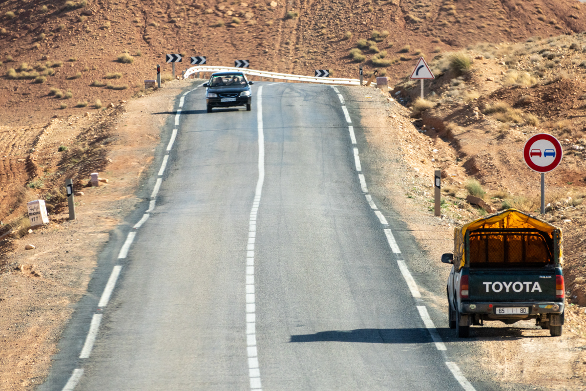 α7R IV / E 70-350mm F4.5-6.3 G OSS（350mm［525mm］）/ マニュアル露出（F8・1/2,500秒）/ ISO 1000