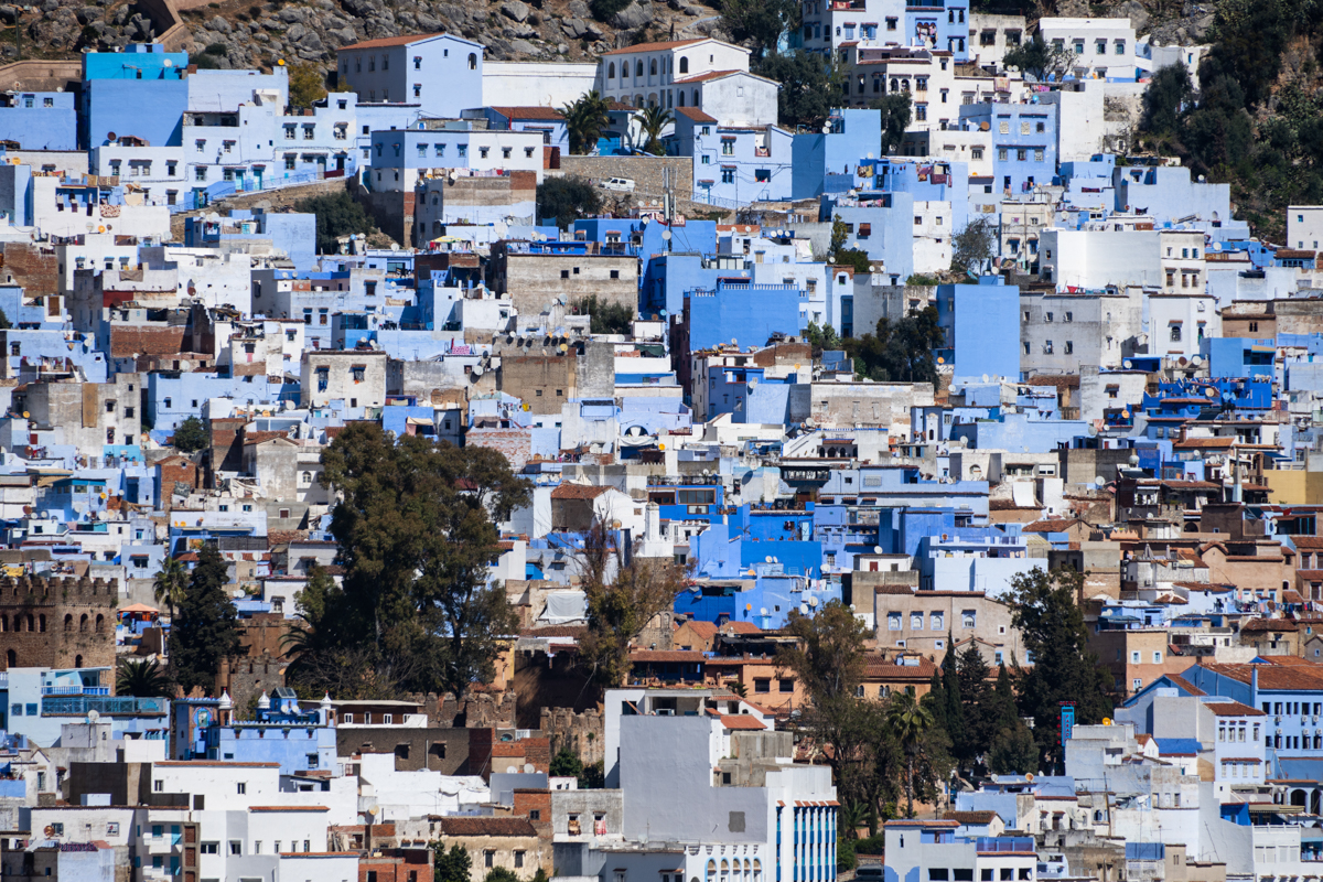 α7R IV / E 70-350mm F4.5-6.3 G OSS（350mm［525mm］）/絞り優先AE（F8・1/750秒・±0EV）/ ISO 100