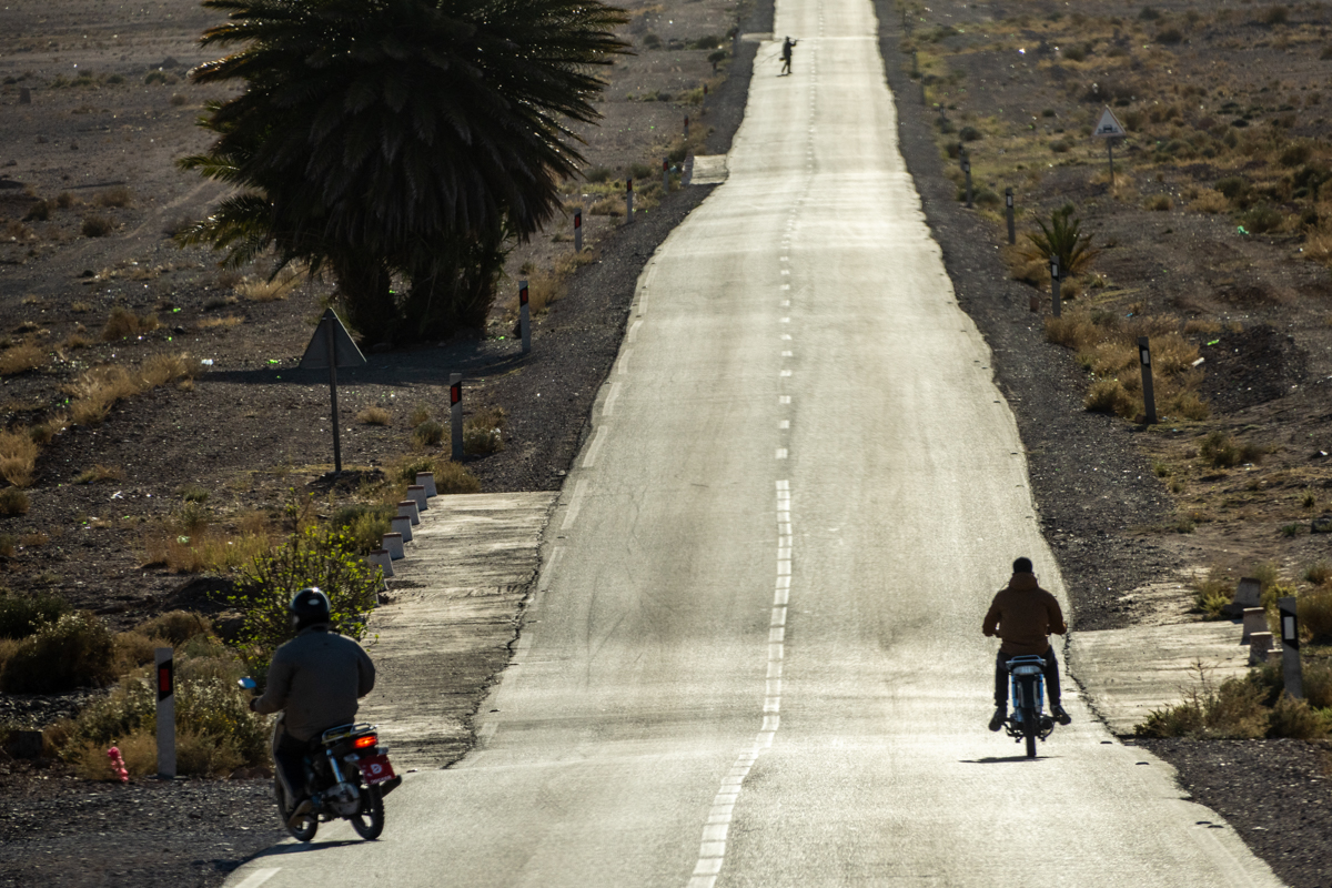 α7R IV / E 70-350mm F4.5-6.3 G OSS（350mm［525mm］）/ マニュアル露出（F8・1/2,000秒）/ ISO 500