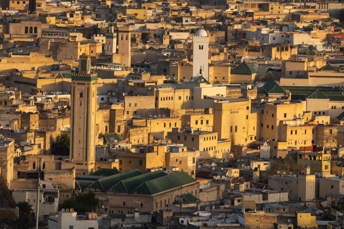 α7R IV / E 70-350mm F4.5-6.3 G OSS（251mm［376mm］）/絞り優先AE（F8・1/350秒・±0EV）/ ISO 250