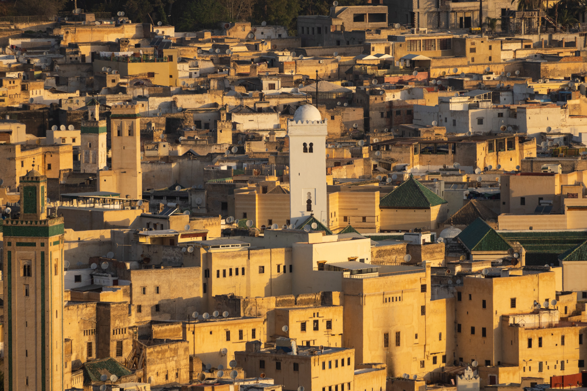 α7R IV / E 70-350mm F4.5-6.3 G OSS（350mm［525mm］）/ 絞り優先AE（F6.3・1/500秒・±0EV）/ ISO 250