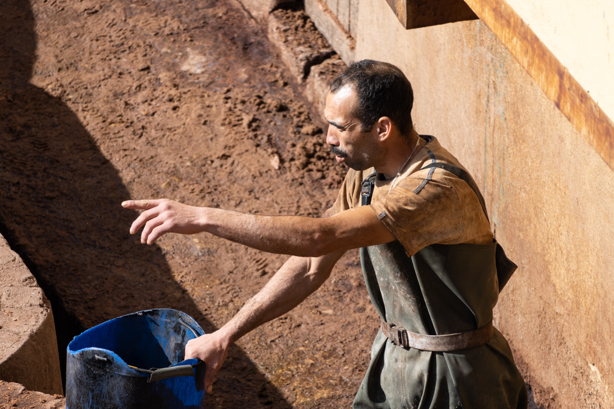 α7R IV / E 70-350mm F4.5-6.3 G OSS（350mm［525mm］）/ 絞り優先AE（F6.3・1/500秒・±0EV）/ ISO 200