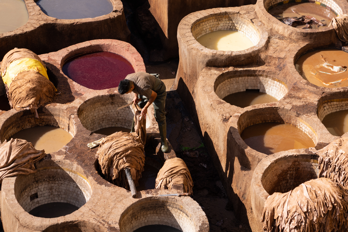 α7R IV / E 70-350mm F4.5-6.3 G OSS（70mm［105mm］）/ 絞り優先AE（F8・1/200秒・±0EV）/ ISO 100