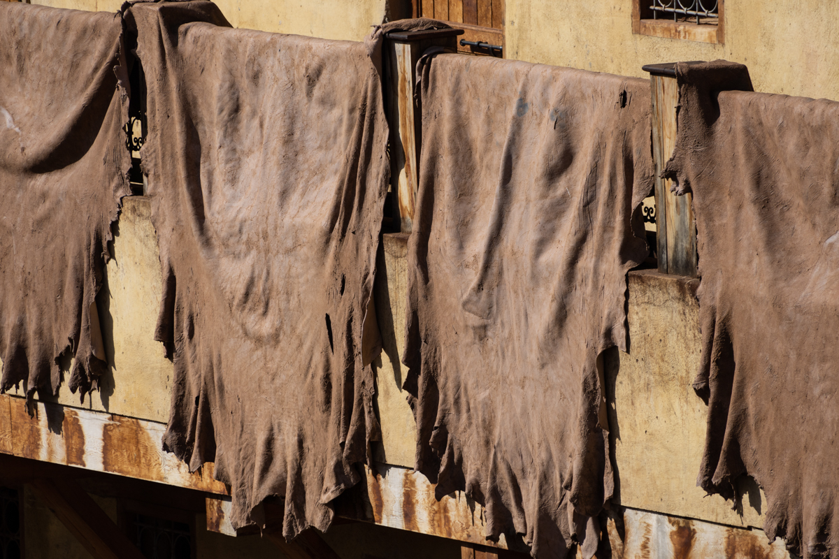 α7R IV / E 70-350mm F4.5-6.3 G OSS（350mm［525mm］）/ 絞り優先AE（F8・1/500秒・±0EV）/ ISO 100