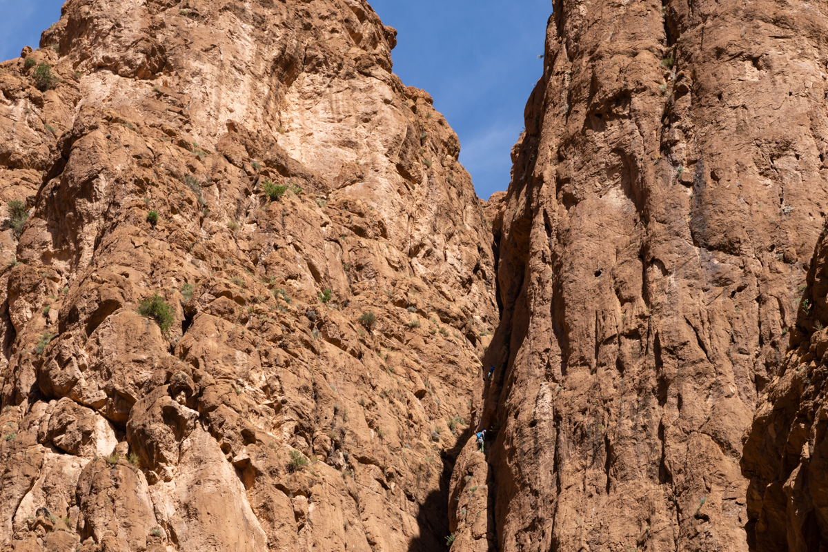 α7R IV / E 70-350mm F4.5-6.3 G OSS（70mm［105mm］）/ 絞り優先AE（F11・1/125秒・±0EV）/ ISO 125