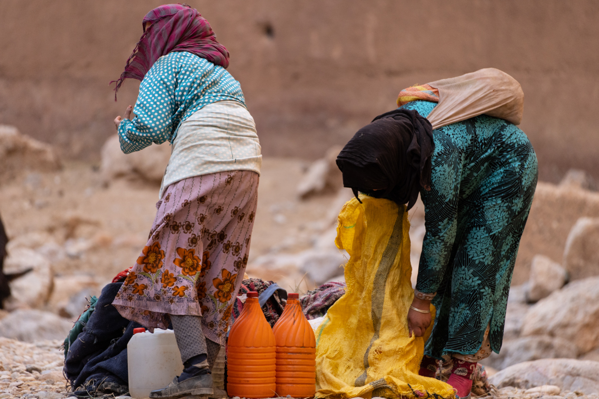 α7R IV / E 70-350mm F4.5-6.3 G OSS（350mm［525mm］）/ 絞り優先AE（F6.3・1/500秒・±0EV）/ ISO 800