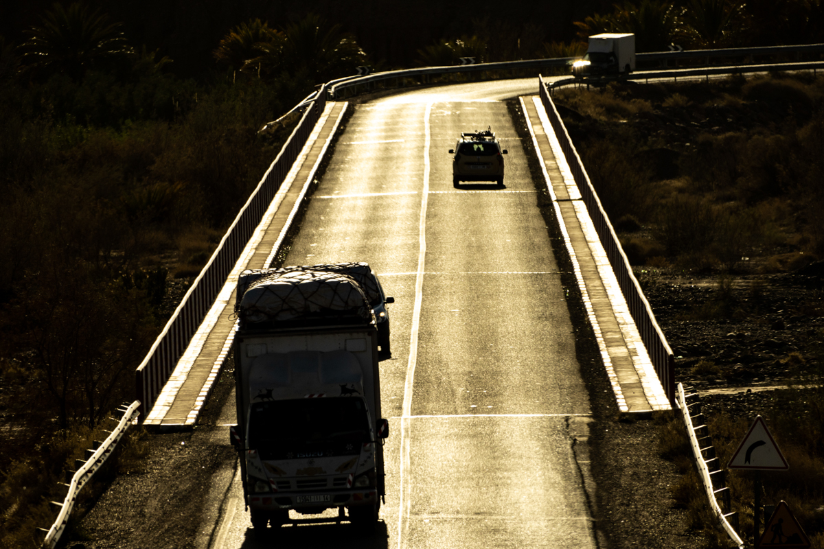 α7R IV / E70-350mmF4.5-6.3 G OSS（350mm［525mm］）/ マニュアル露出（F8・1/2,000秒）/ ISO 500