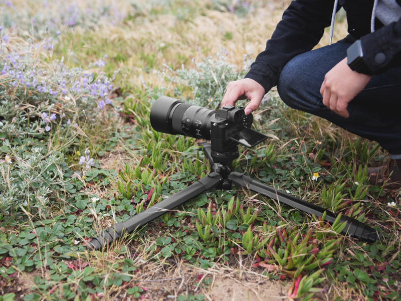 ローポジション状態。写真の三脚はアルミ