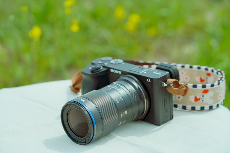 α6600との組みわせ例（筆者撮影）