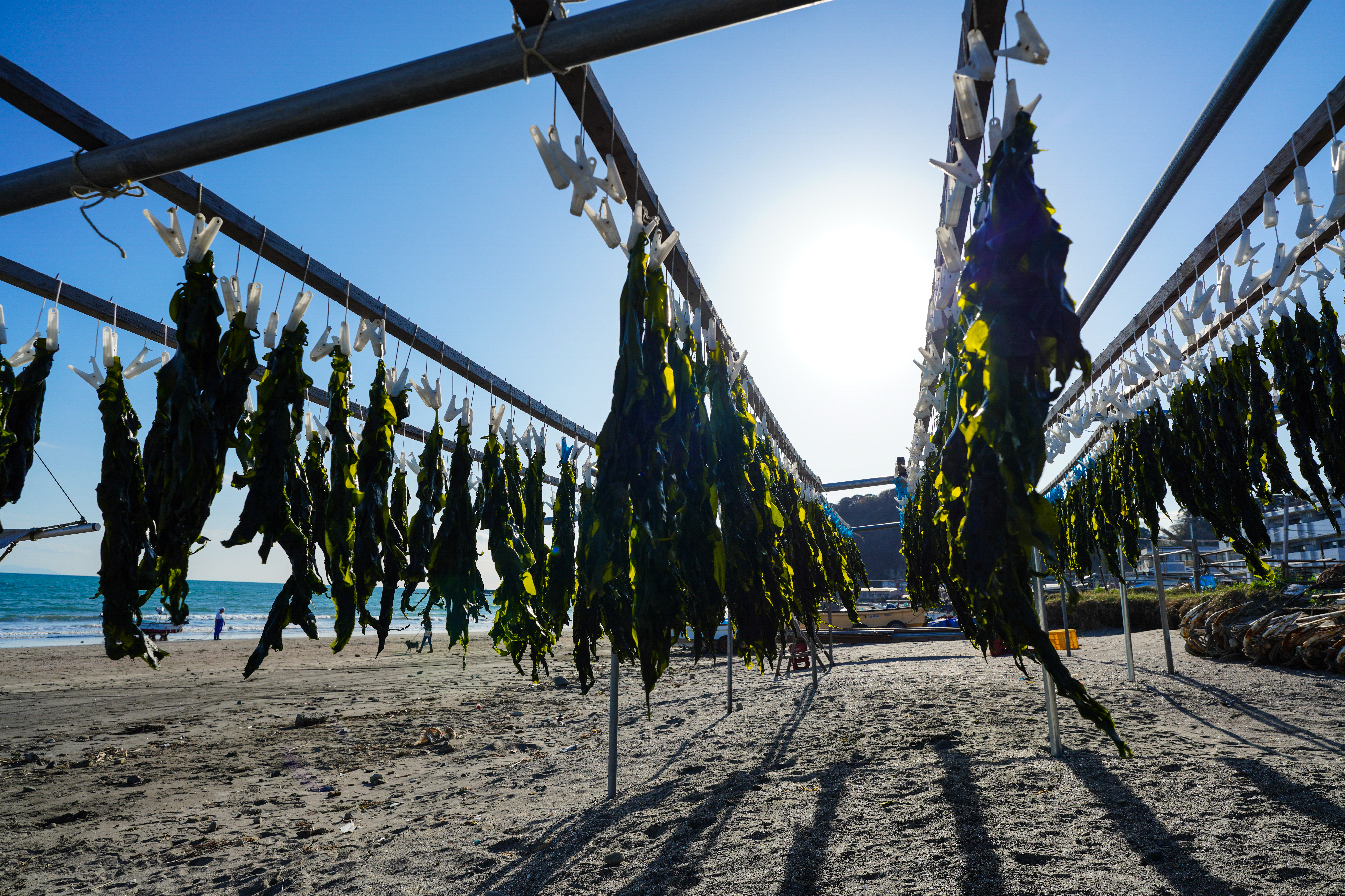 α7R IV / FE 20mm F1.8 G / 絞り優先AE（F5.6・1/1,000秒・±0EV）/ ISO 100