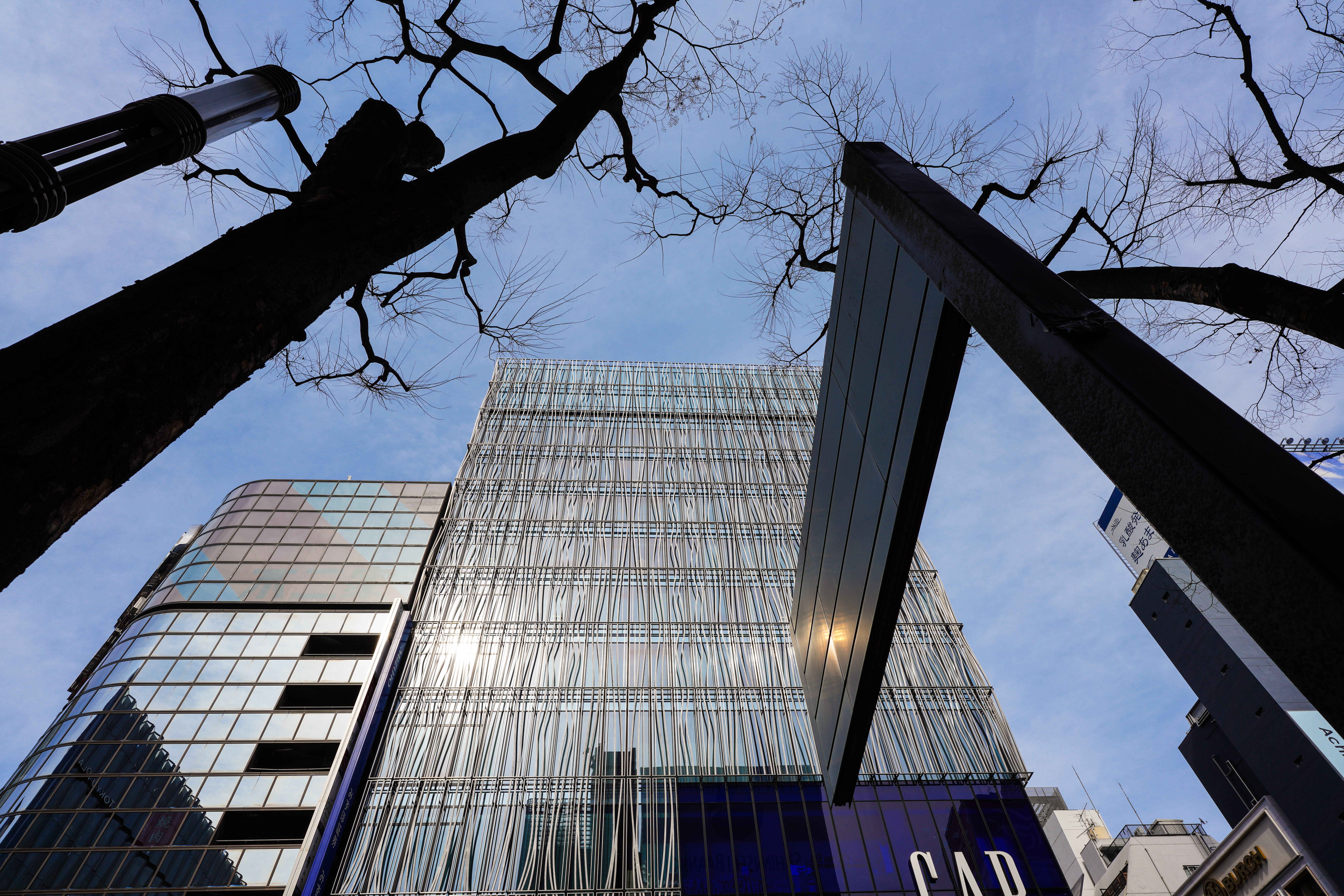 α7R IV / FE 20mm F1.8 G / 絞り優先AE（F9・1/320秒・±0EV）/ ISO 100