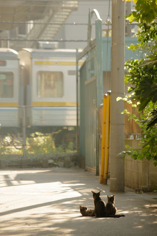 ペンタックスK-x　smc PENTAX-DA 50-200mmF4-5.6ED WR（207mm相当）　絞り優先オート　（F5.6、1/180秒）　ISO 200　WB:マニュアル