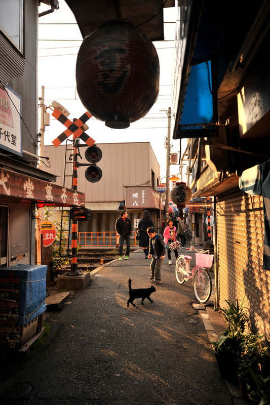 ニコンD3S　AF-S NIKKOR 14-24mm f/2.8G ED（24mm）　絞り優先オート（F2.8、1/750秒）　ISO 200　WB:晴天日陰