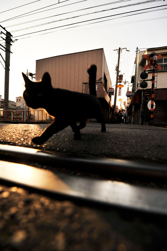 ニコンD3S　AF-S NIKKOR 14-24mm f/2.8G ED（14mm）　絞り優先オート（F2.8、1/4,000秒）　ISO 200　WB:晴天日陰