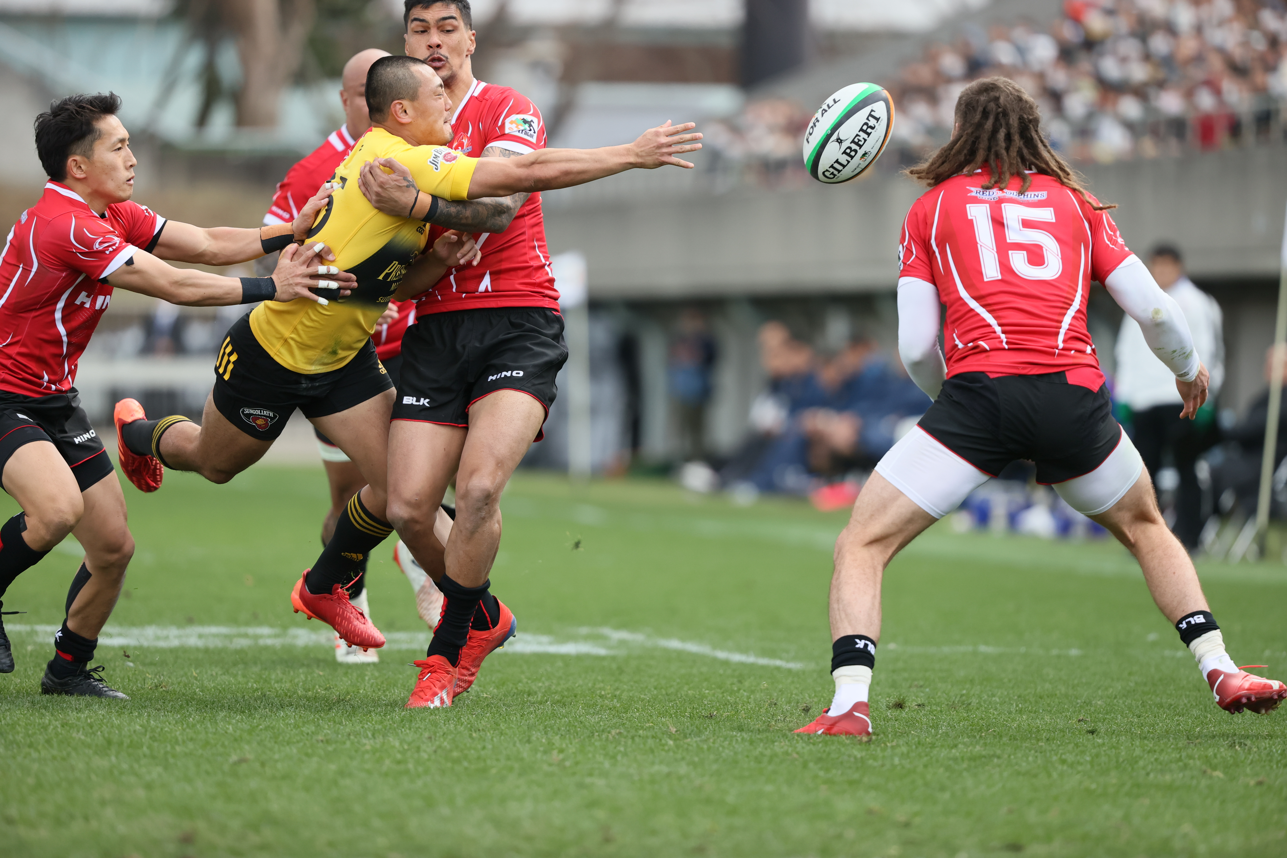 EOS-1D X Mark III＋EF200-400mm F4L IS USM エクステンダー 1.4×（366mm） / シャッター優先AE（1/1,600秒・F4.0・+0.3EV） / ISO 1250