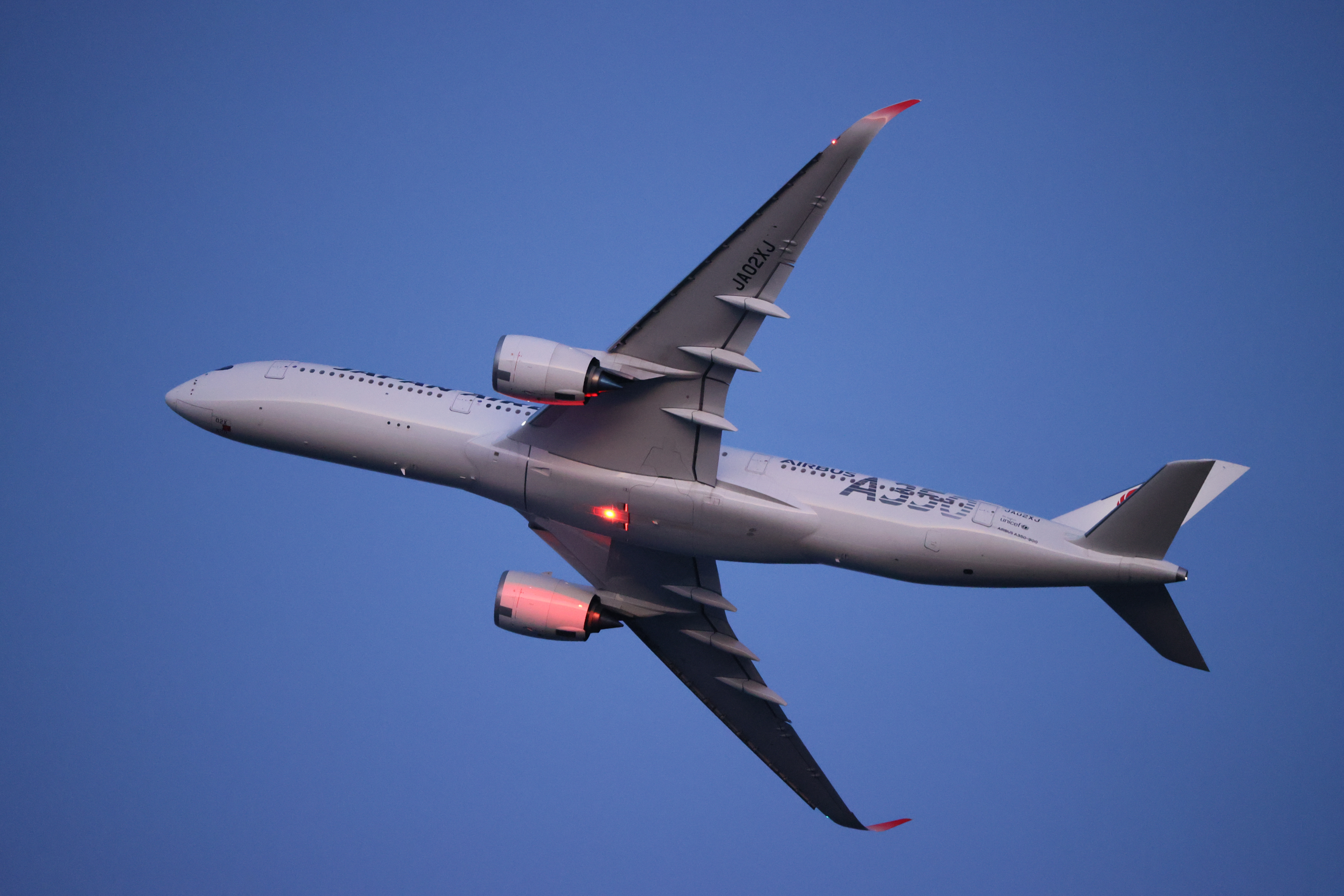 撮影時のJPEG画像<br><span class="fnt-85">EOS-1D X Mark II＋EF200-400mm F4L IS USM エクステンダー 1.4×（560mm） / シャッター優先AE（1/250秒・F5.6・±0EV） / ISO 12800</span>