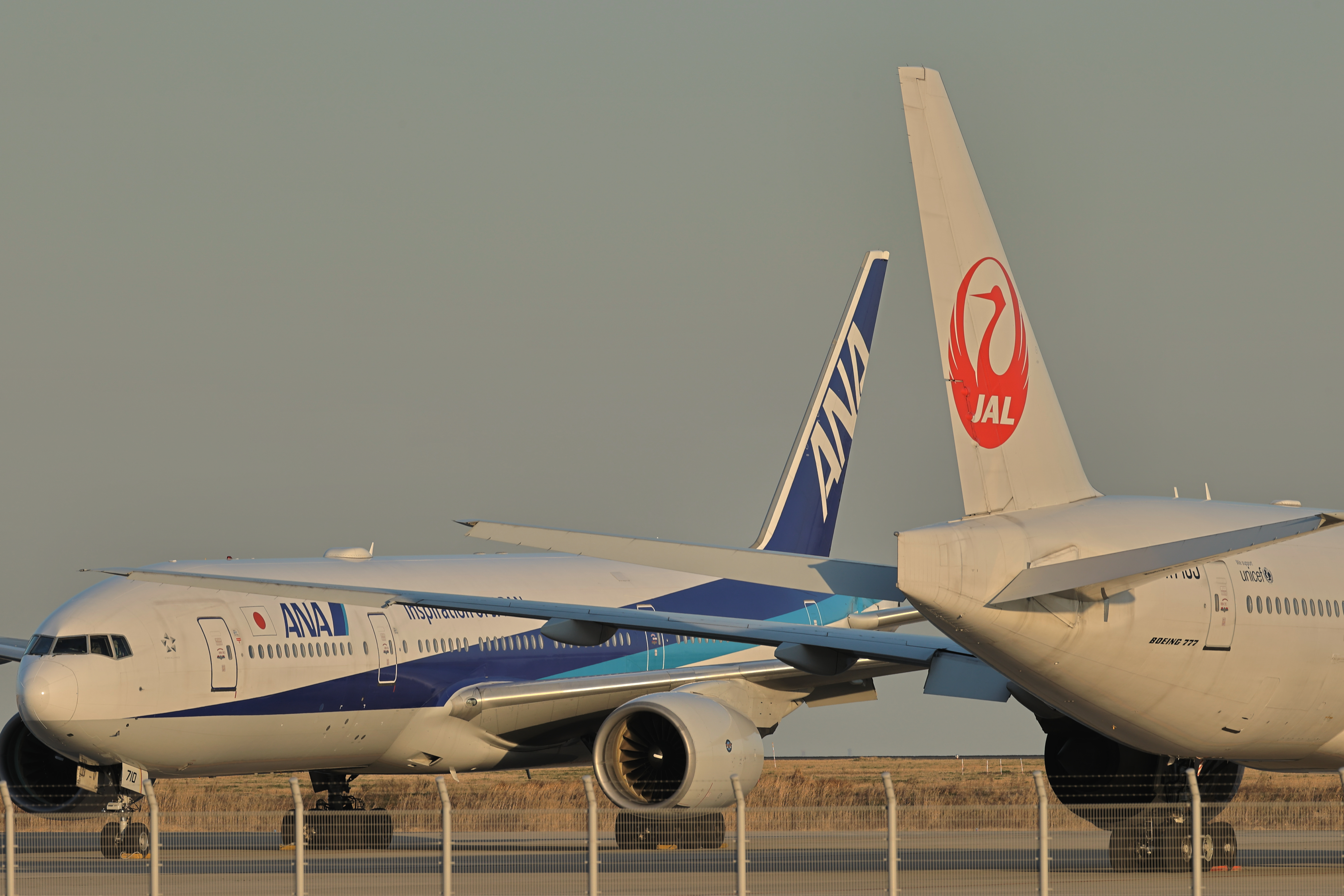 「HDR」をONにして、「高輝度側・階調優先」を掛けた撮影した「HEIF」をJPEG変換したもの<br><span class="fnt-85">EOS-1D X Mark II＋EF400mm F2.8L IS III USM / マニュアル露出（F8.0・1/400秒） / ISO 200</span>