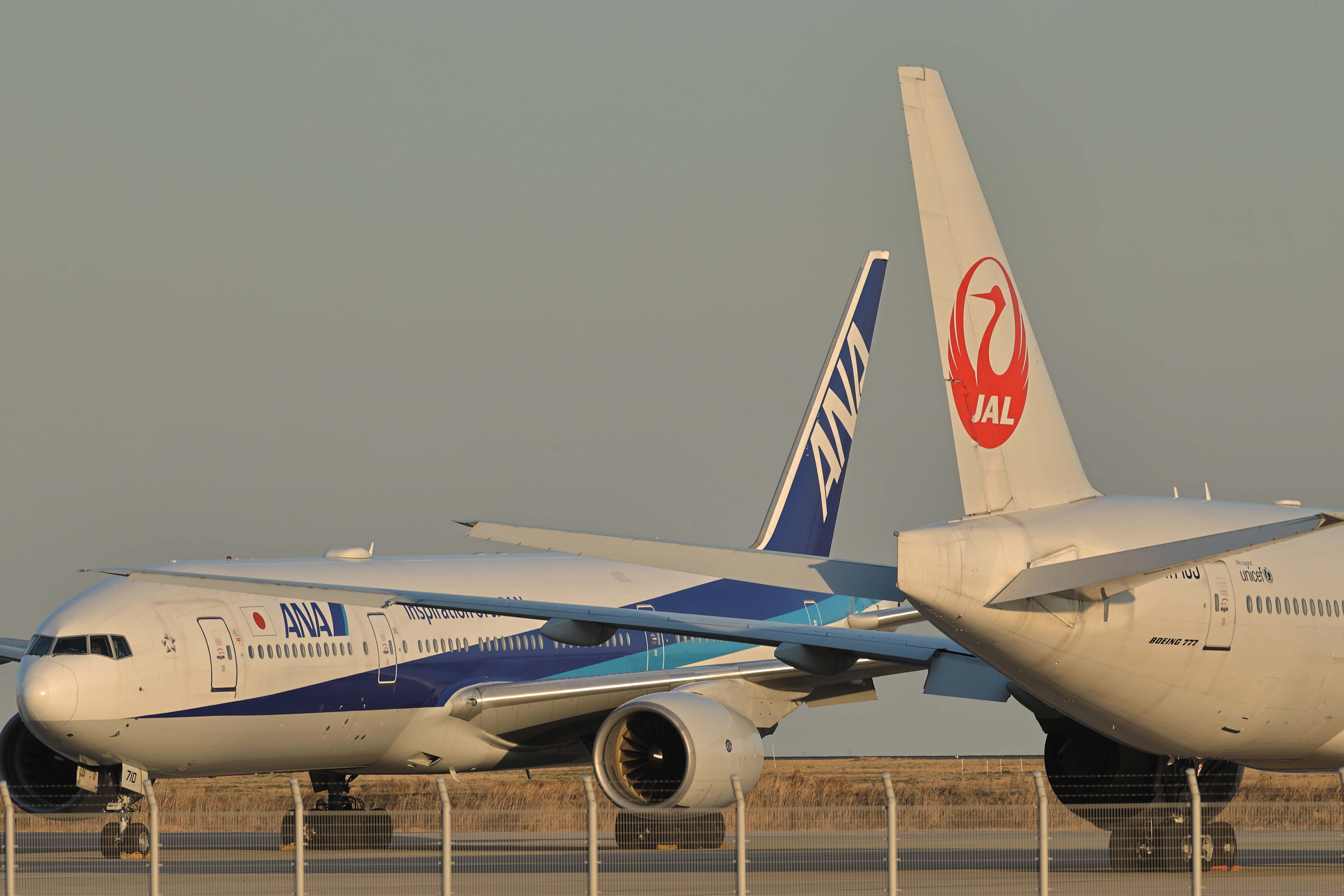 「HDR」をONにして、「高輝度側・階調優先」はOFFで撮影した「HEIF」をJPEG変換したもの<br><span class="fnt-85">EOS-1D X Mark II＋EF400mm F2.8L IS III USM / マニュアル露出（F8.0・1/400秒） / ISO 200</span>