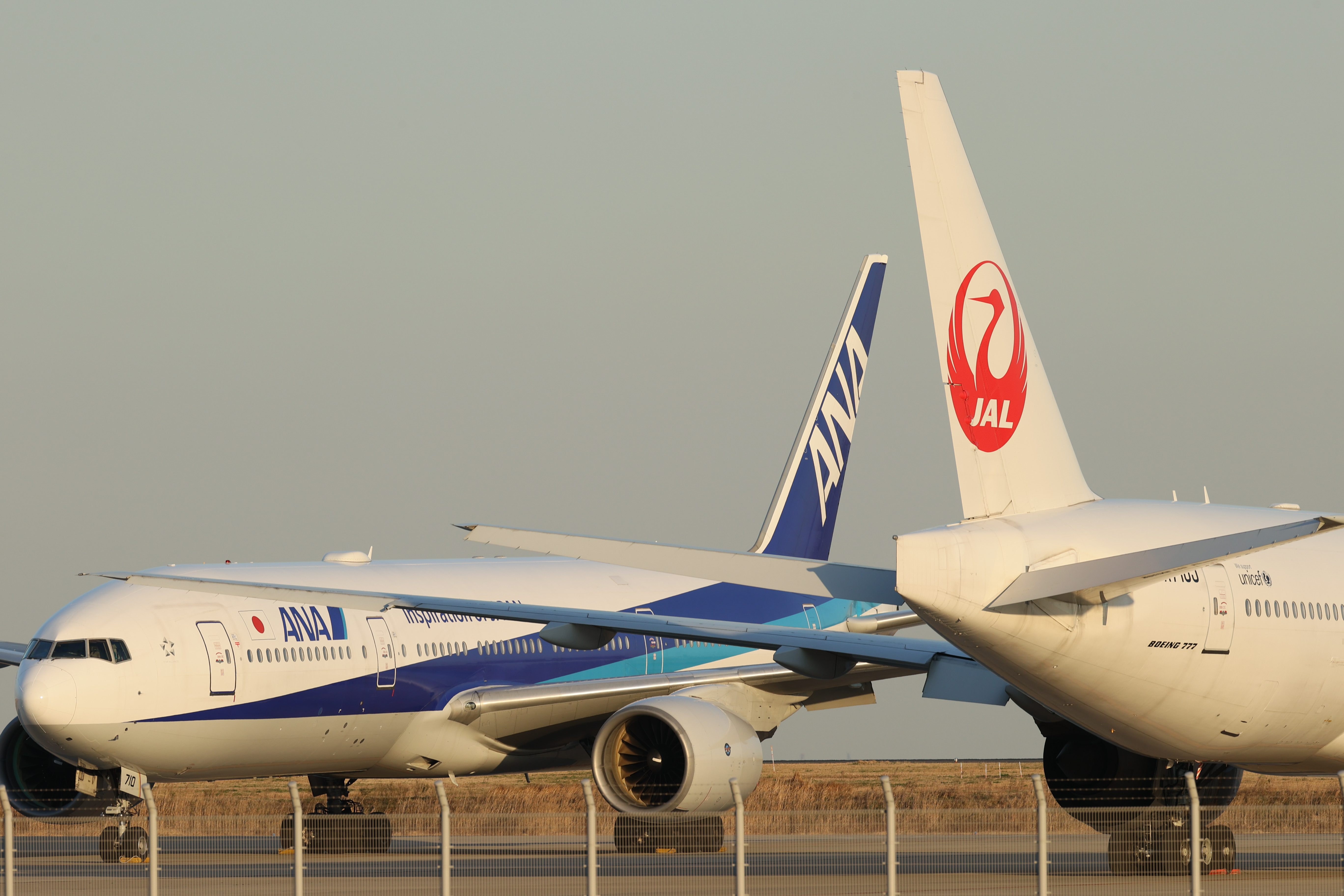 「HDR」をOFFにして、「高輝度側・階調優先」を掛けたJPEG画像<br><span class="fnt-85">EOS-1D X Mark II＋EF400mm F2.8L IS III USM / マニュアル露出（F8.0・1/400秒） / ISO 200</span>